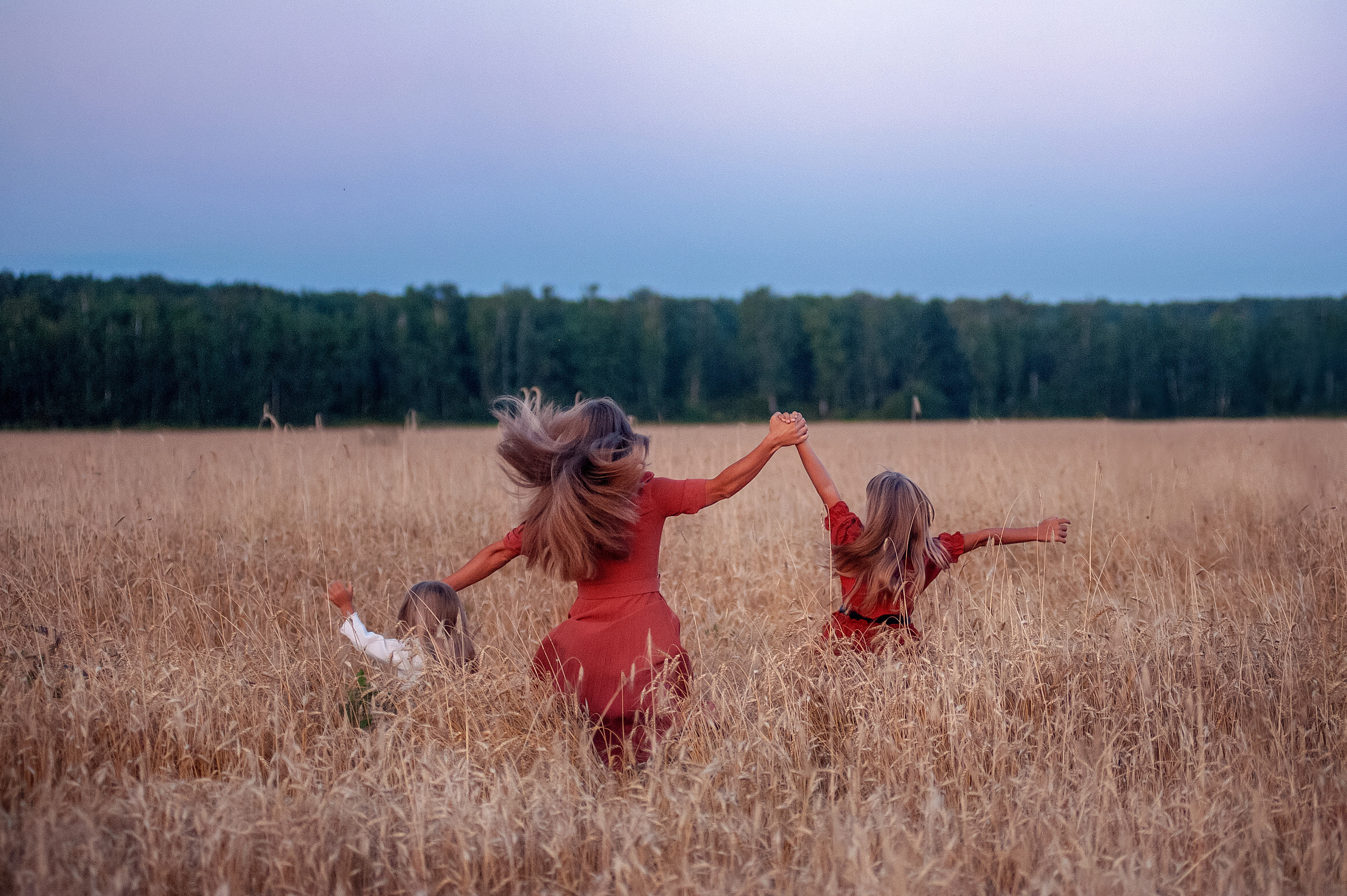 Семейная съемка в поле пшеницы. Семьи, дети, сады, школы. Фотограф Первенцева Елена. Москва