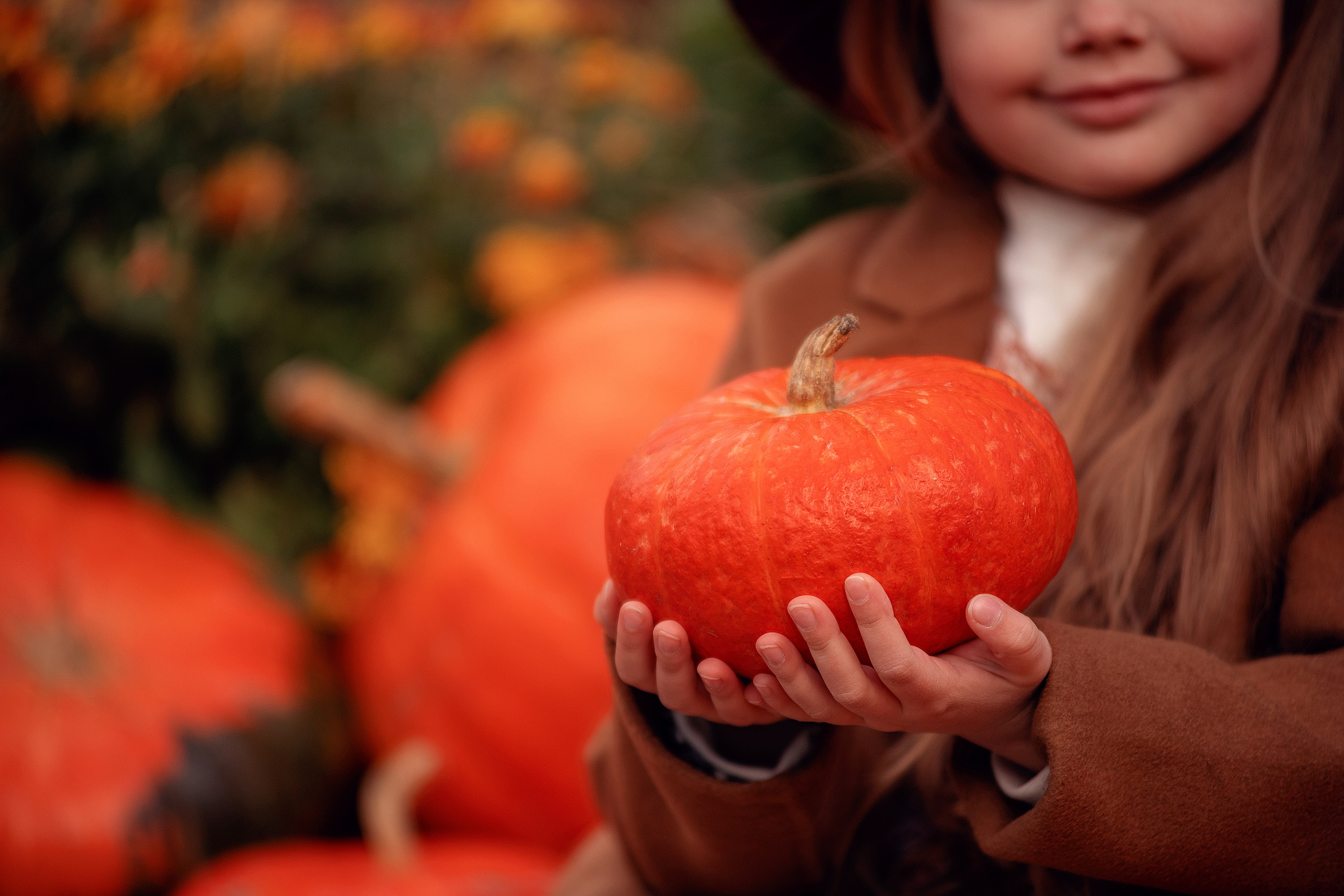Осенний фотопроект с тыквами. Семьи, дети, сады, школы. Фотограф Первенцева Елена. Москва
