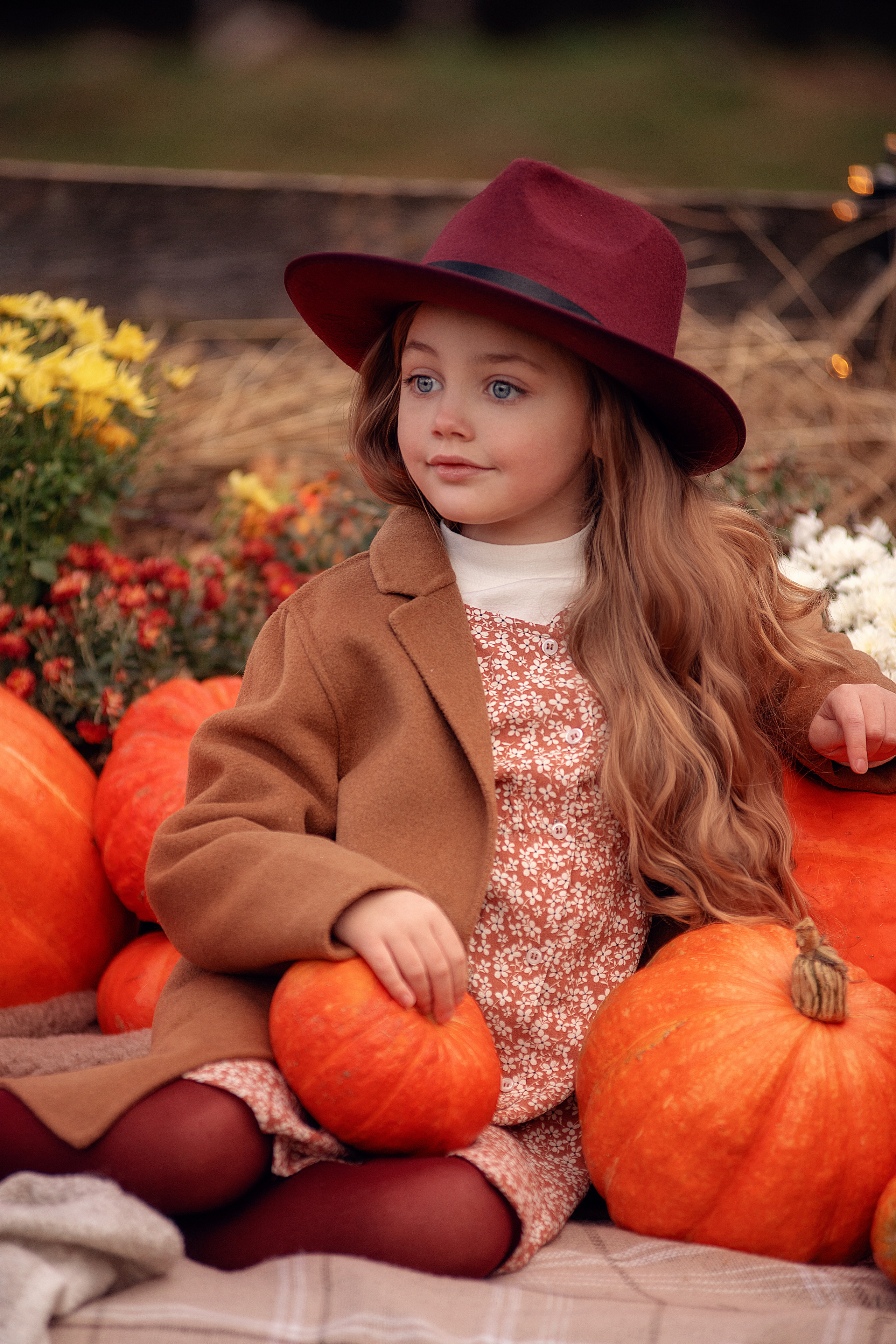 Осенний фотопроект с тыквами. Семьи, дети, сады, школы. Фотограф Первенцева Елена. Москва