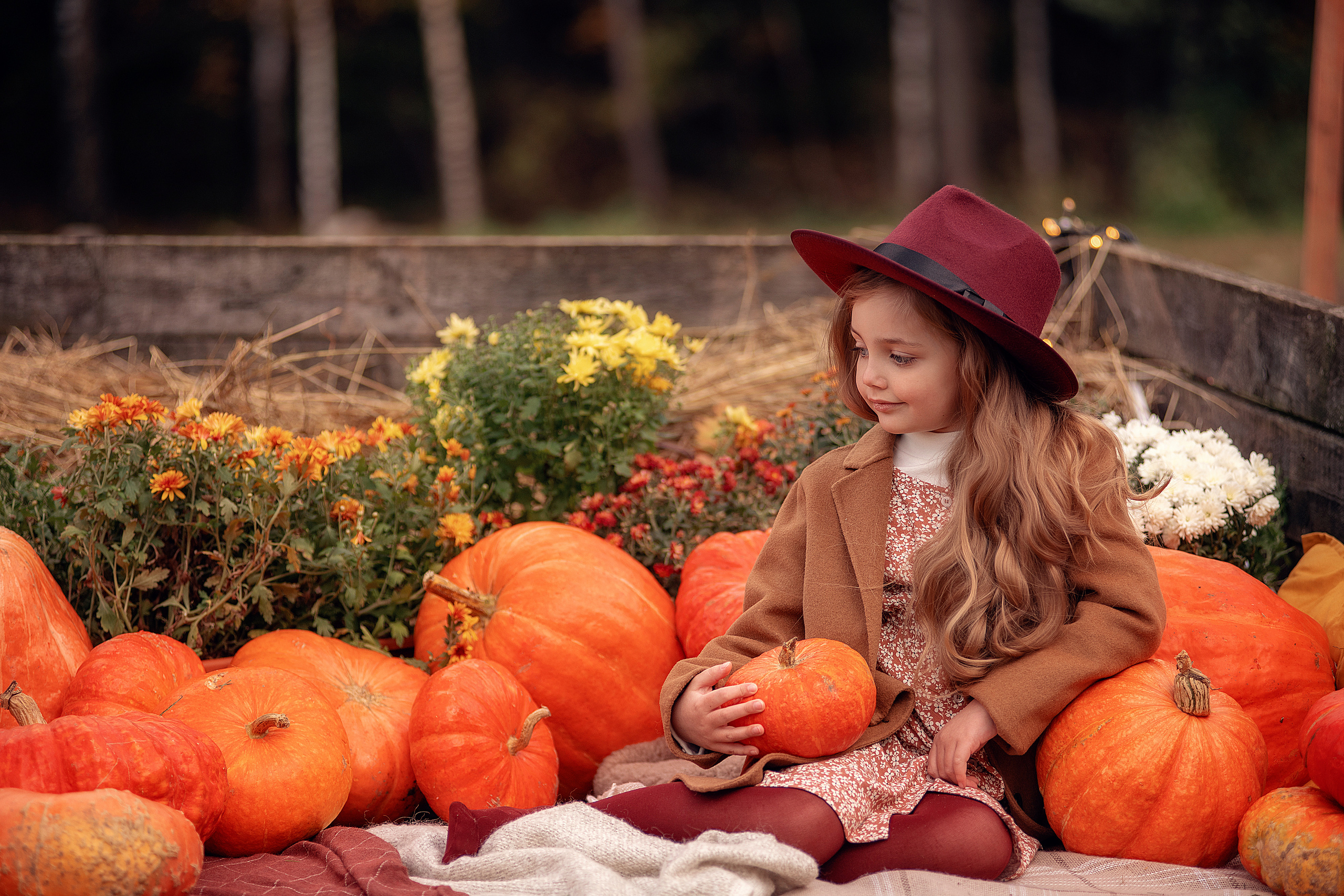 Осенний фотопроект с тыквами. Семьи, дети, сады, школы. Фотограф Первенцева Елена. Москва