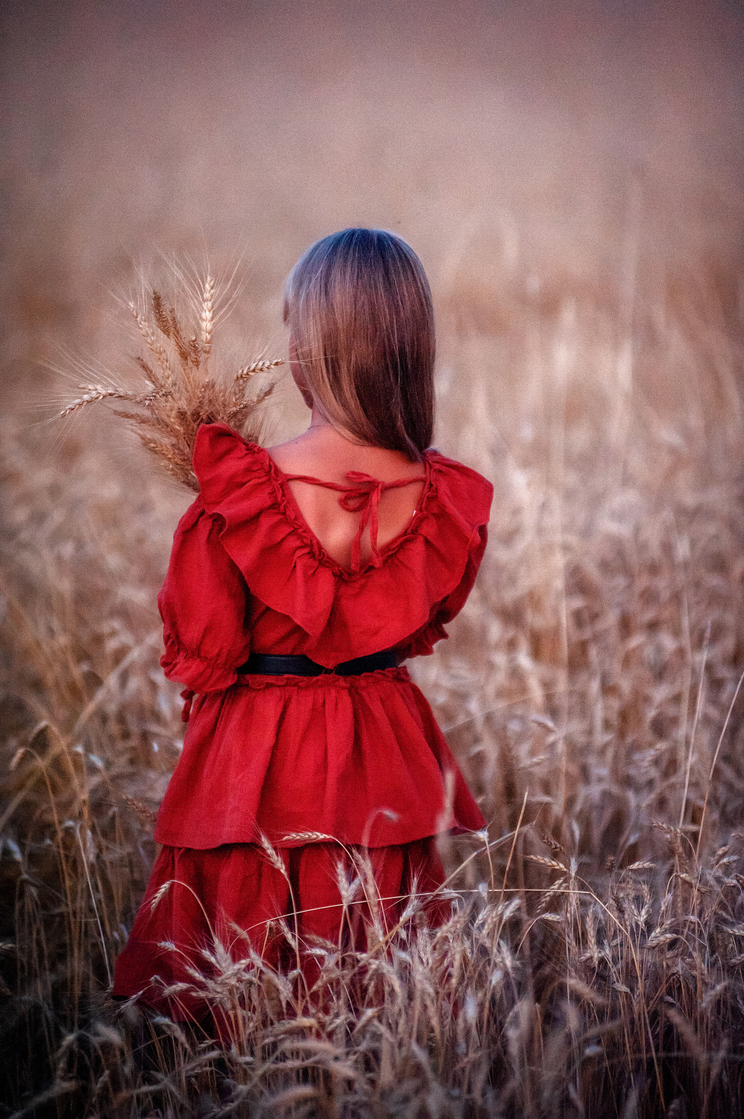 Семейная съемка в поле пшеницы. Семьи, дети, сады, школы. Фотограф Первенцева Елена. Москва