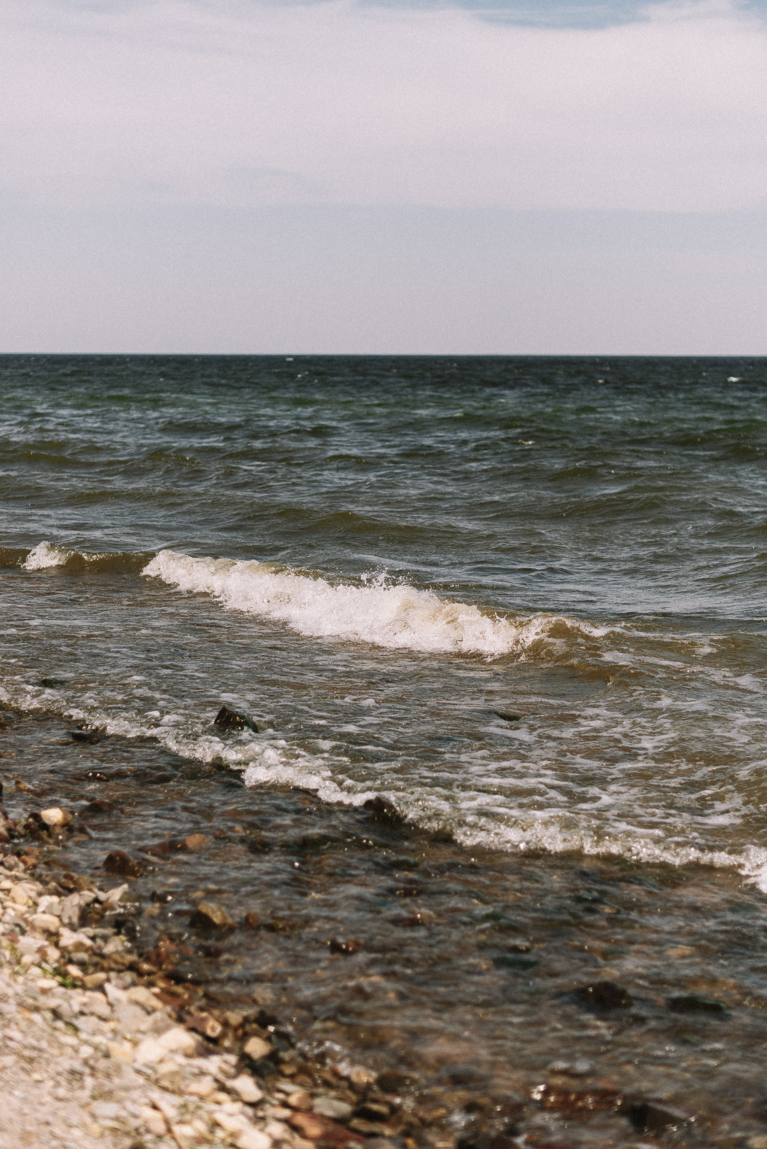 Юлия + Данил. Свадебный и семейный фотограф в Волгограде Олеся Лисицкая