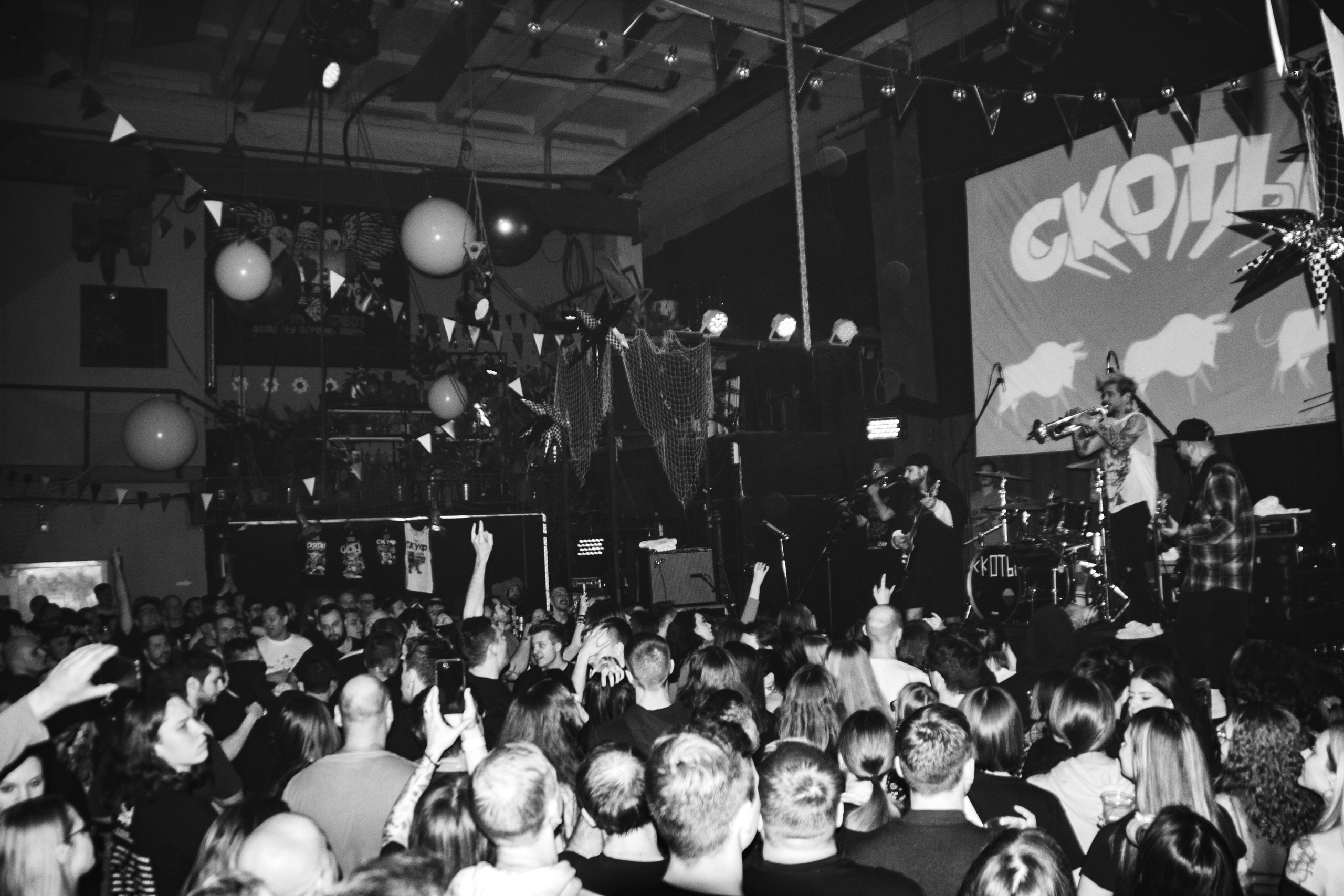 СКОТЫ | 11.12.2024 | ЛАСТОЧКА. VLADIS PISKUNOV | Концертные Фото |Репортажи