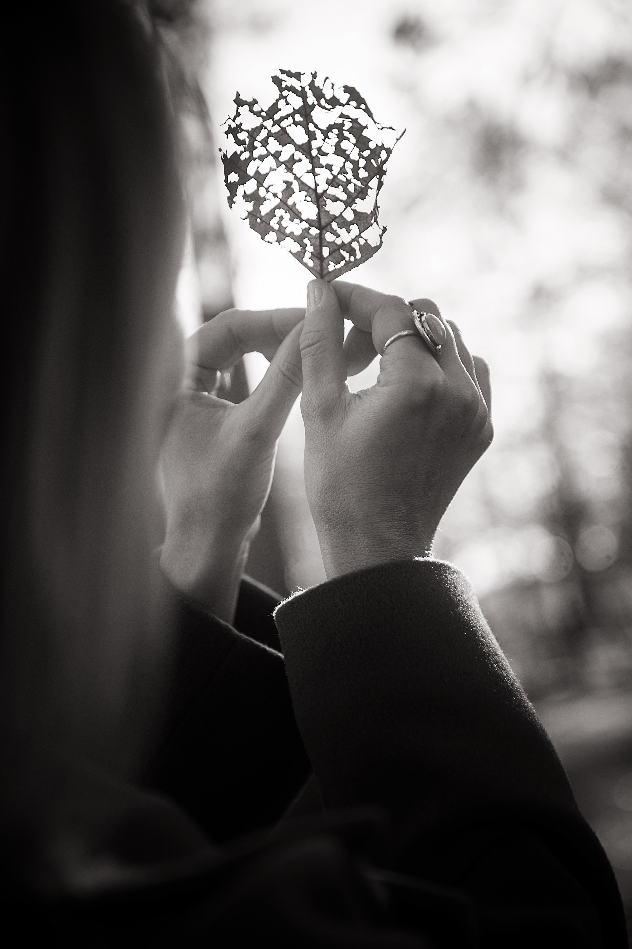 ФОТОПРОГУЛКИ. Фотограф Вера Демидкова