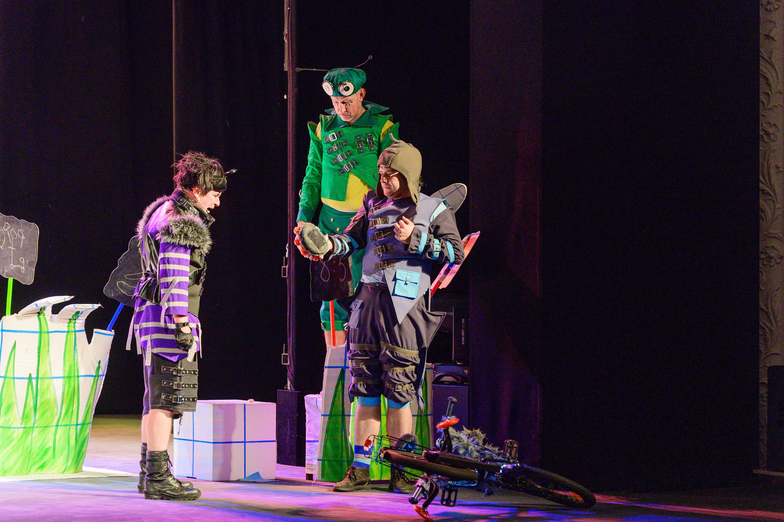 Муха Цокотуха. Фотоуслуги, услуги фотографа, фотографирование важных событий