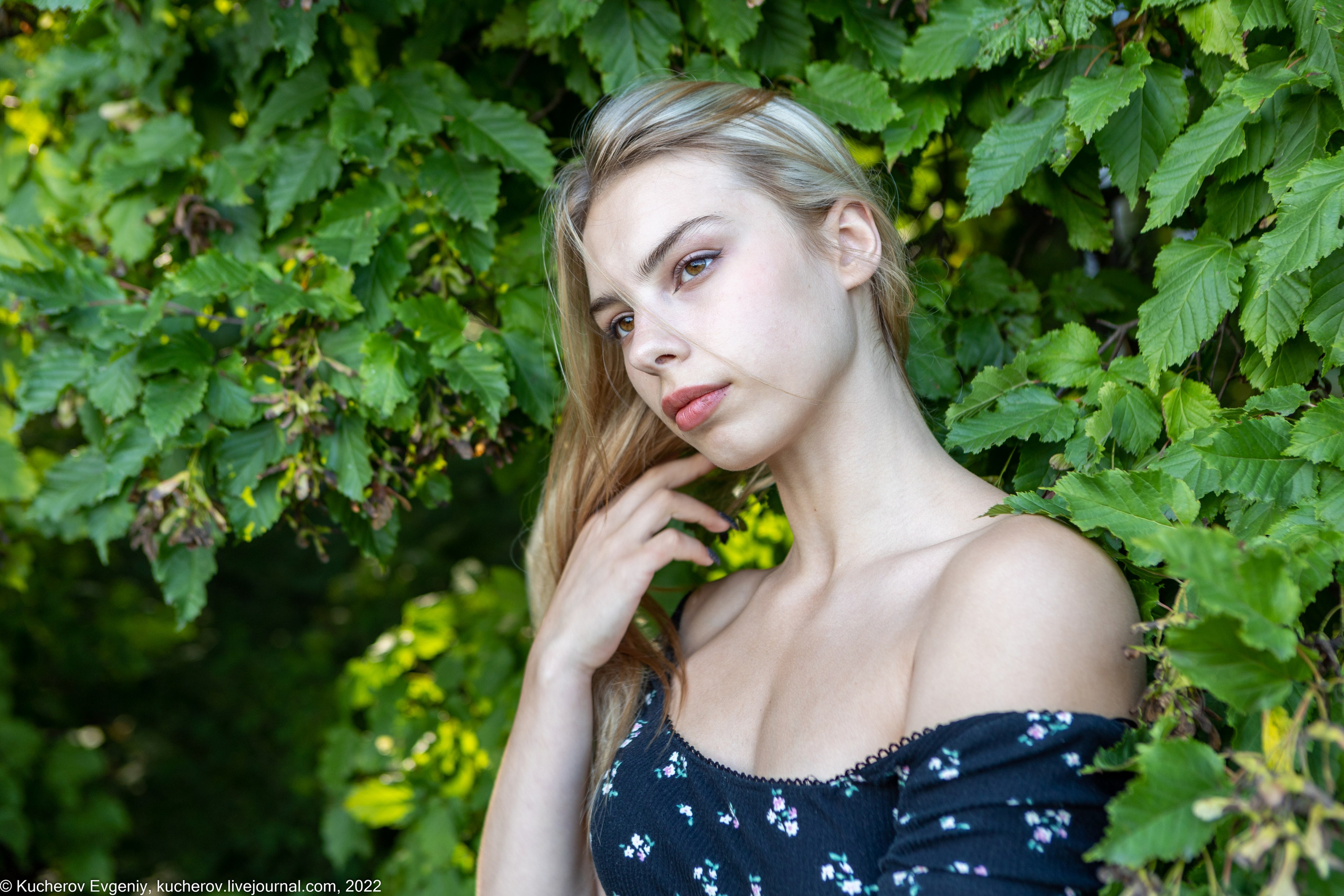 Виктория. Кучеров Евгений. Фотограф