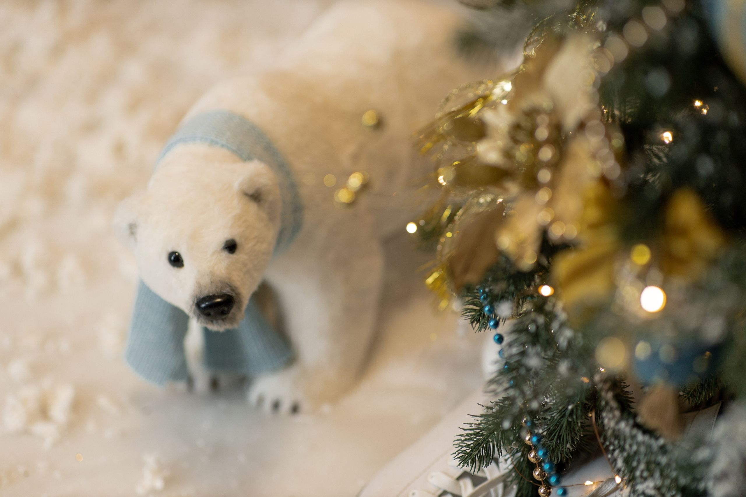 Детский зал. Семейный и детский фотограф в Туапсинском районе Кузьмичёва Светлана