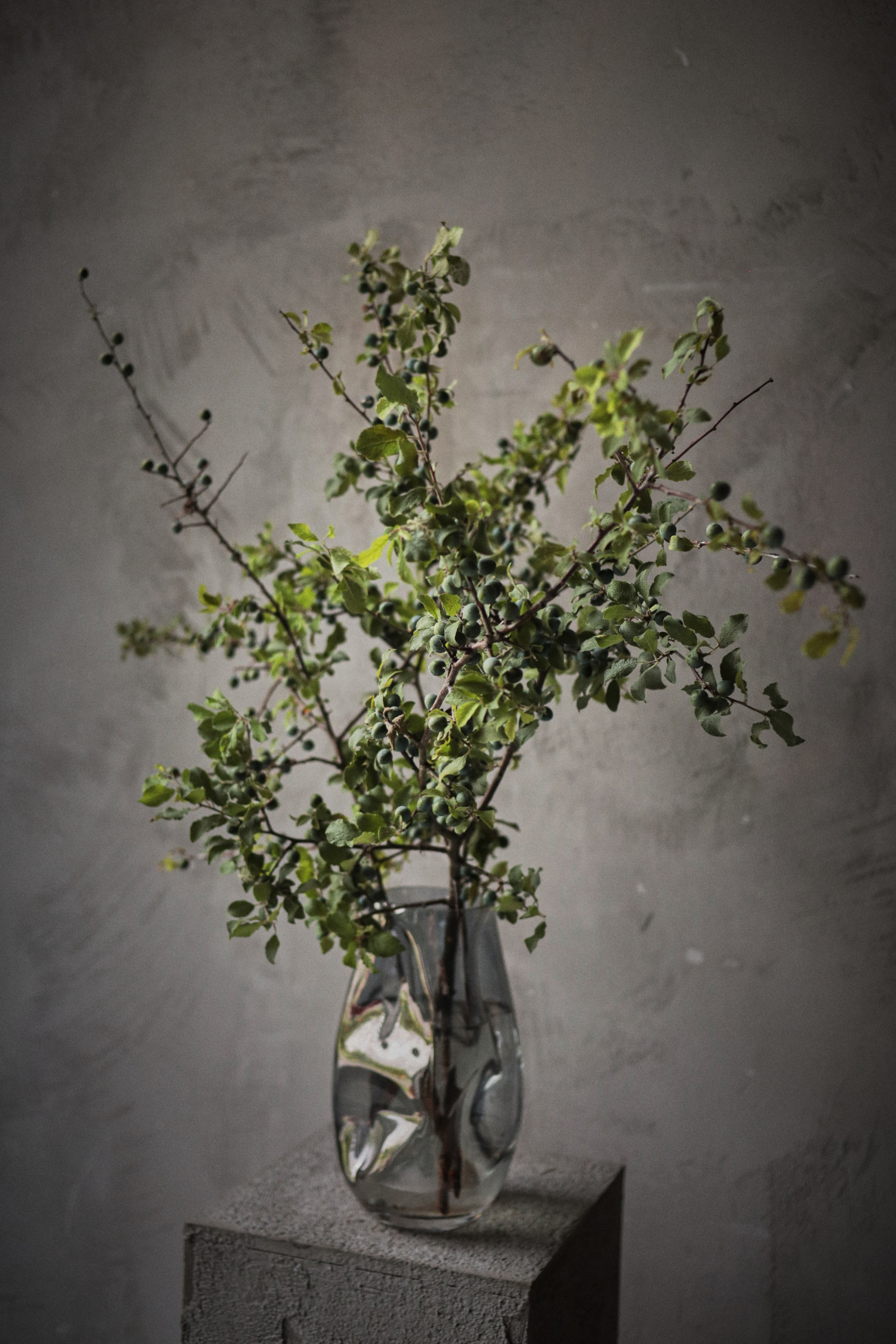 Flowers. Виктория Калугина — фотограф и видеомейкер в Москве