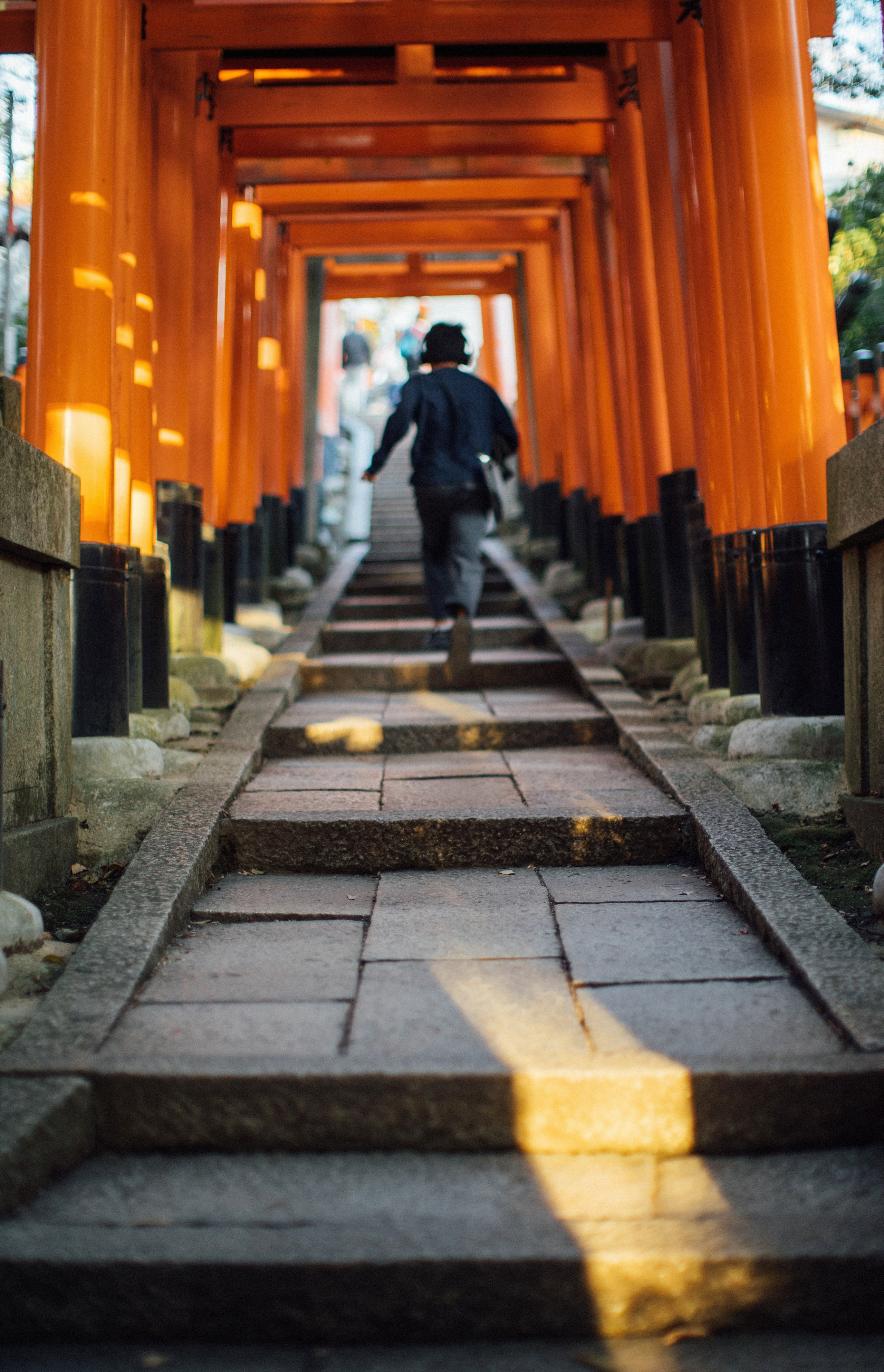 Япония. Главная