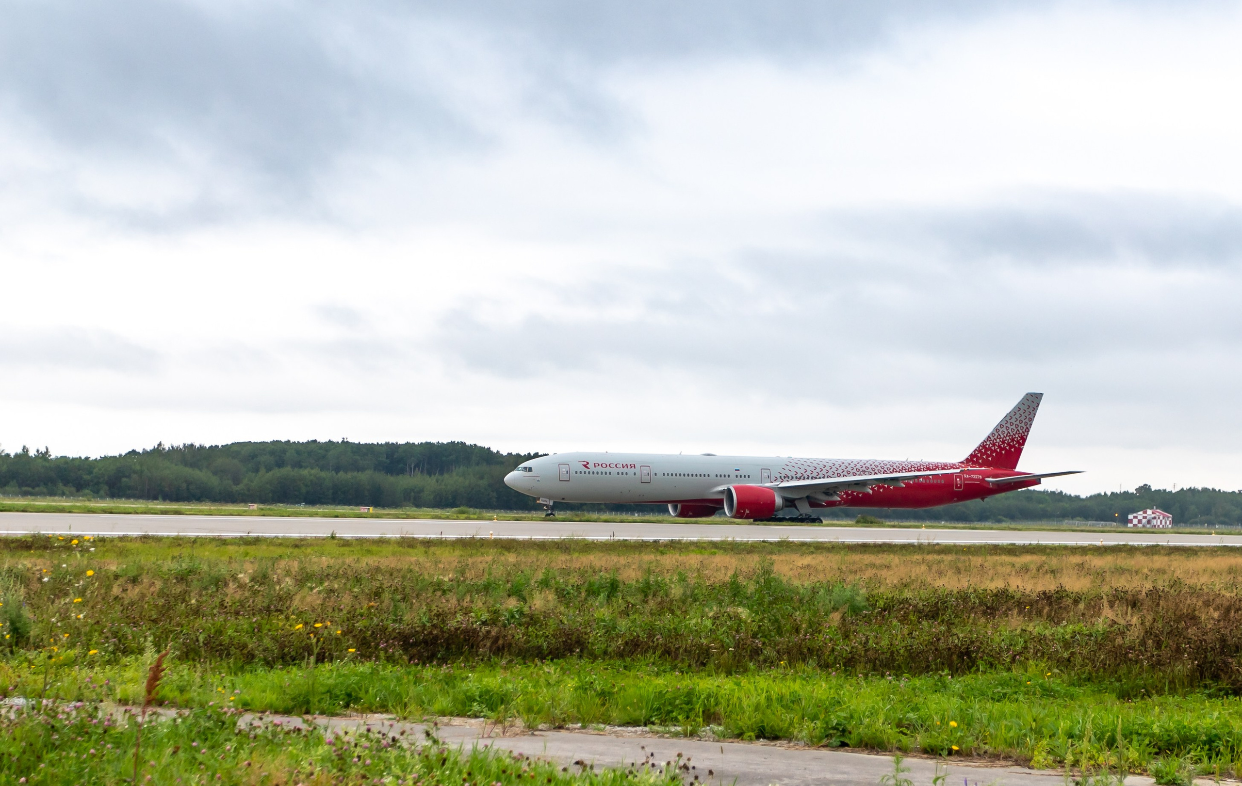 Споттинг 2024. Семейный и детский фотограф в Хабаровске Алевтина Проскурякова