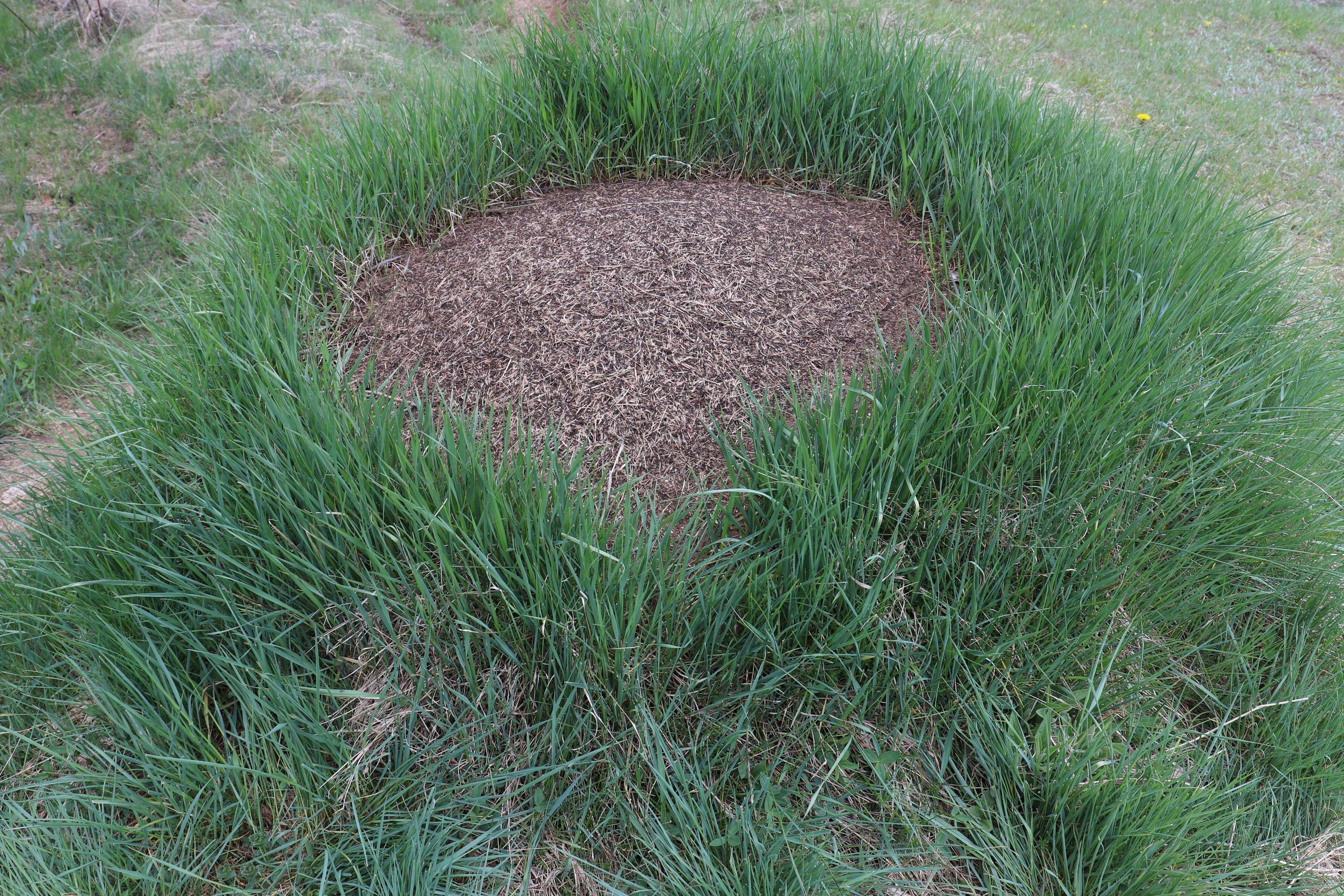 Крым. ЮБК (Бахчисарай, Демерджи, Судак). Первый скалолазный выезд. Май 2019. Путешественник-фотограф из Санкт-Петербурга Татьяна Свистулина