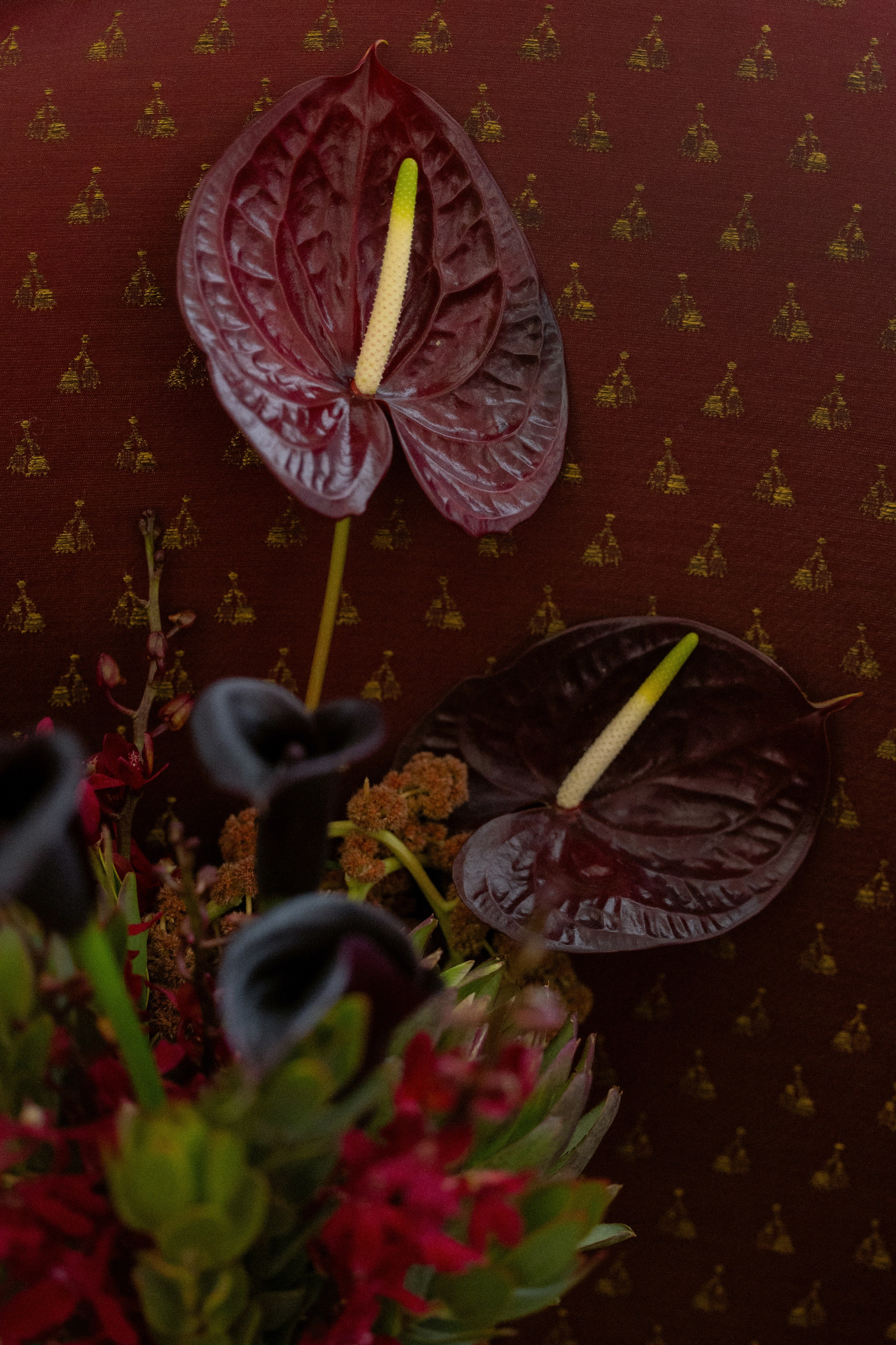 Vlad & Kate. Оформление свадеб, декор свадеб Вера Маркова, Москва