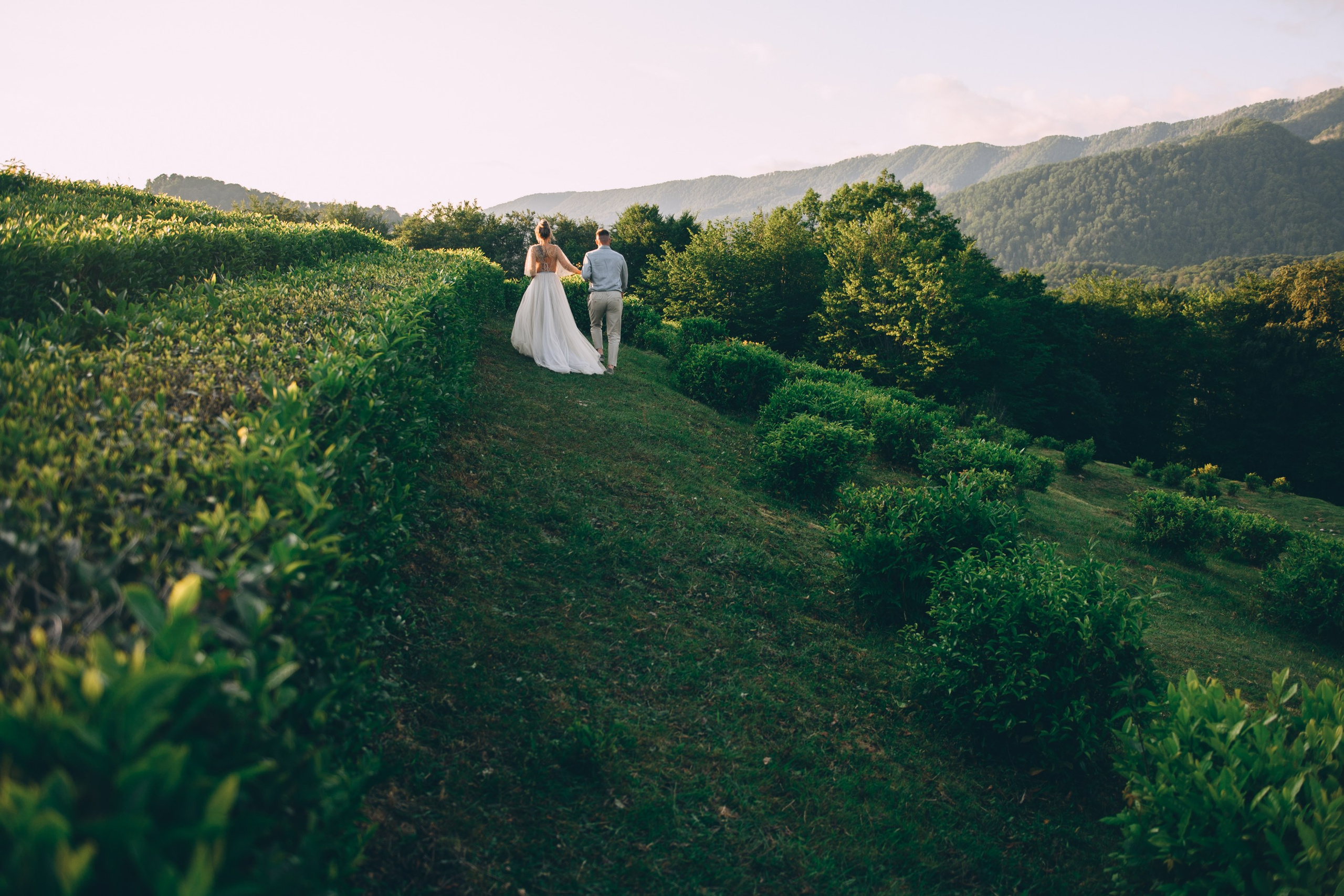 Стильные, красивые, влюбленные и Сочи. Свадебный и семейный фотограф София Невская