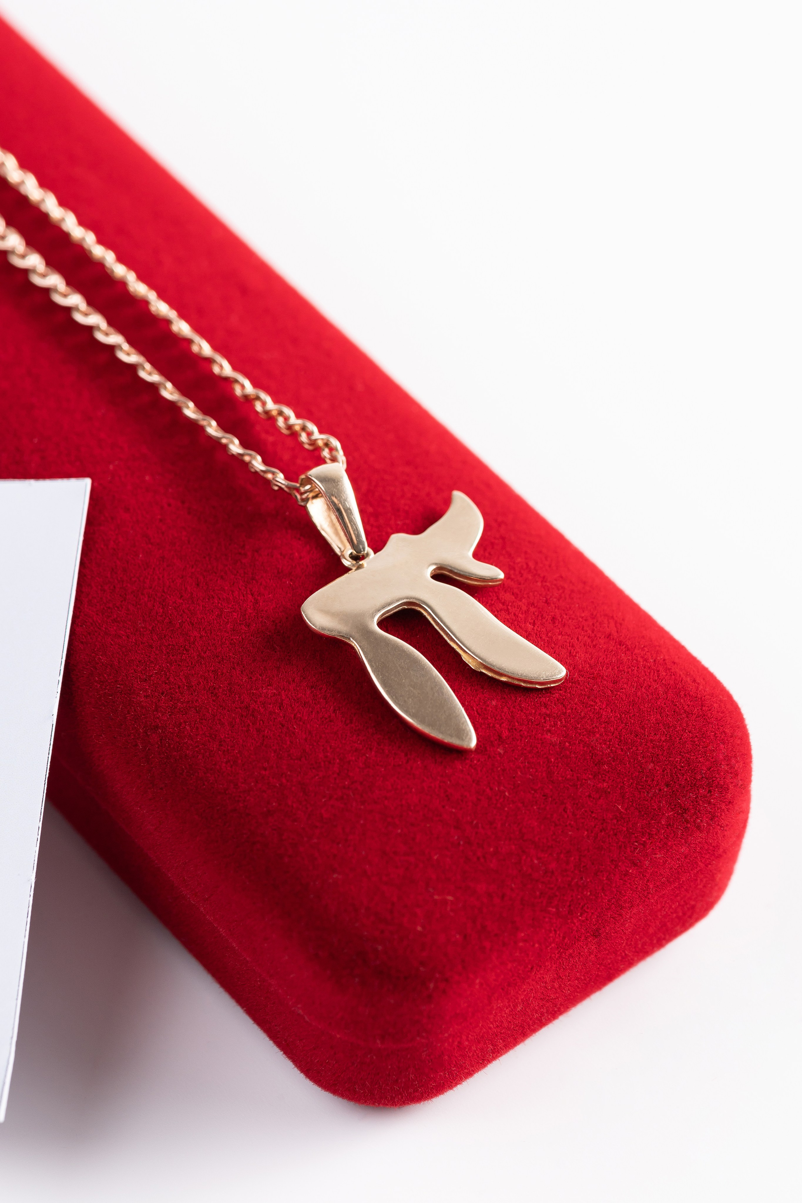 Рекламная съемка ювелирных изделий. Рекламный фуд фотограф и видеограф в Астане Алина Лысенко