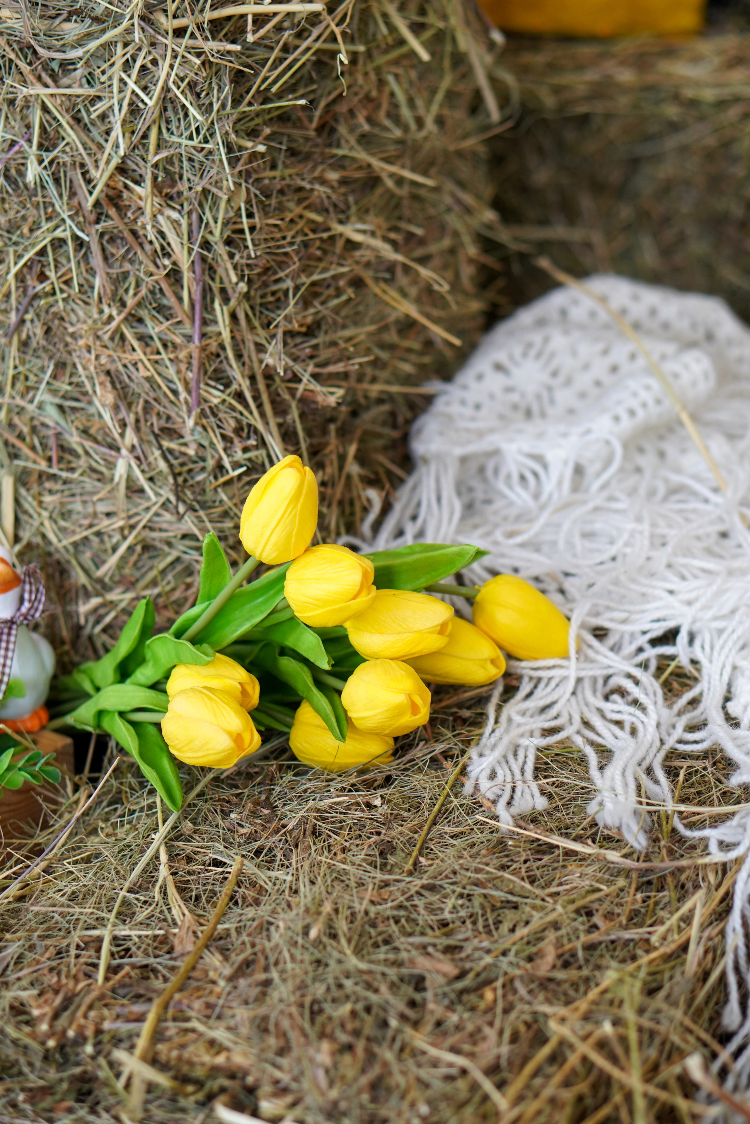 Зал Life фотостудия Импульс. Фотостудия в Саратове. Фотограф в Саратове