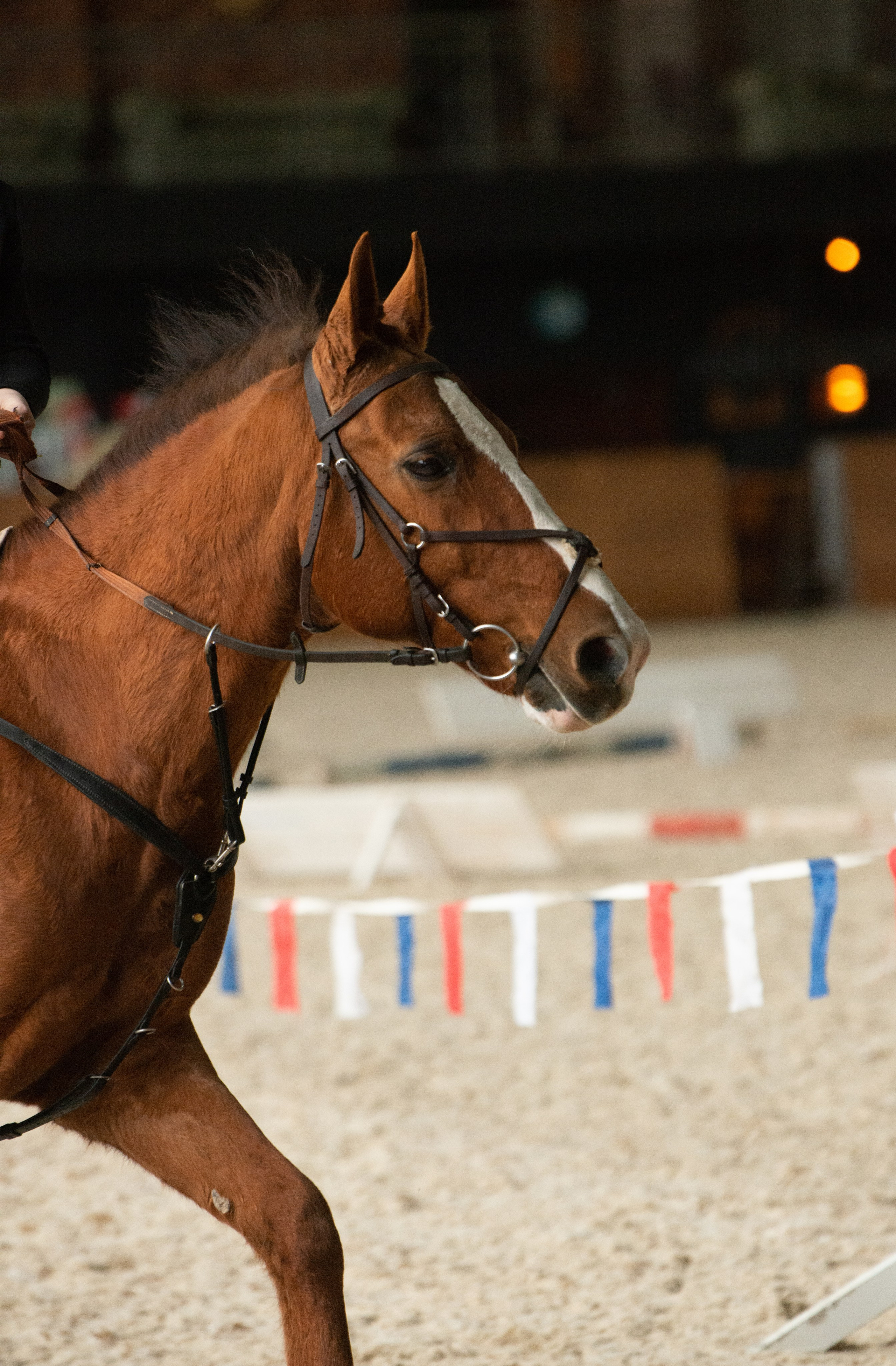 Конный спорт — соревнования по джигитовке. Конный фотограф в Саратове Юлия Иванова