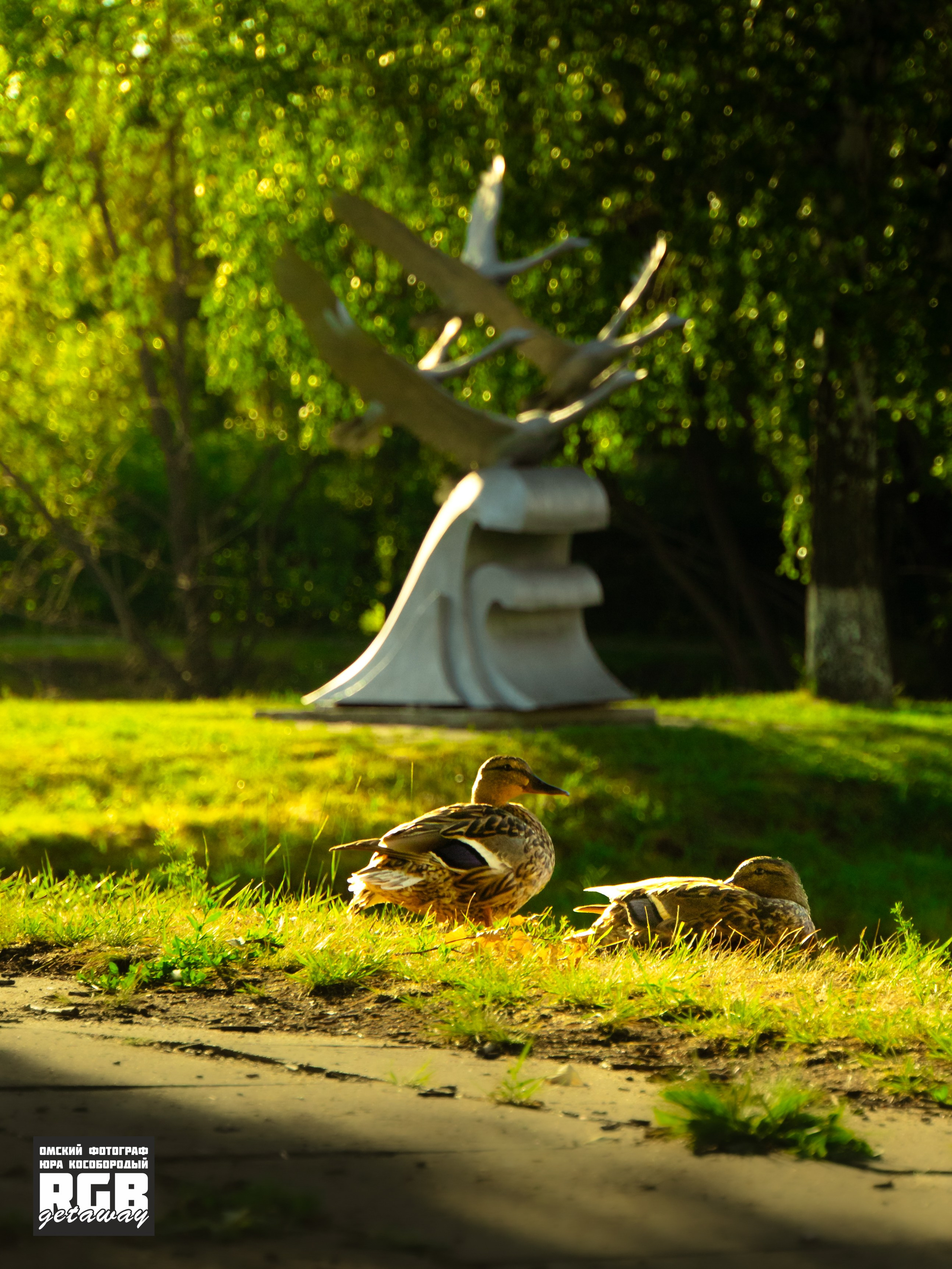 Портрет Омска | ХХ.ХХ.ХХХХ. ФОТОГРАФ ЮРА КОСОБОРОДЫЙ