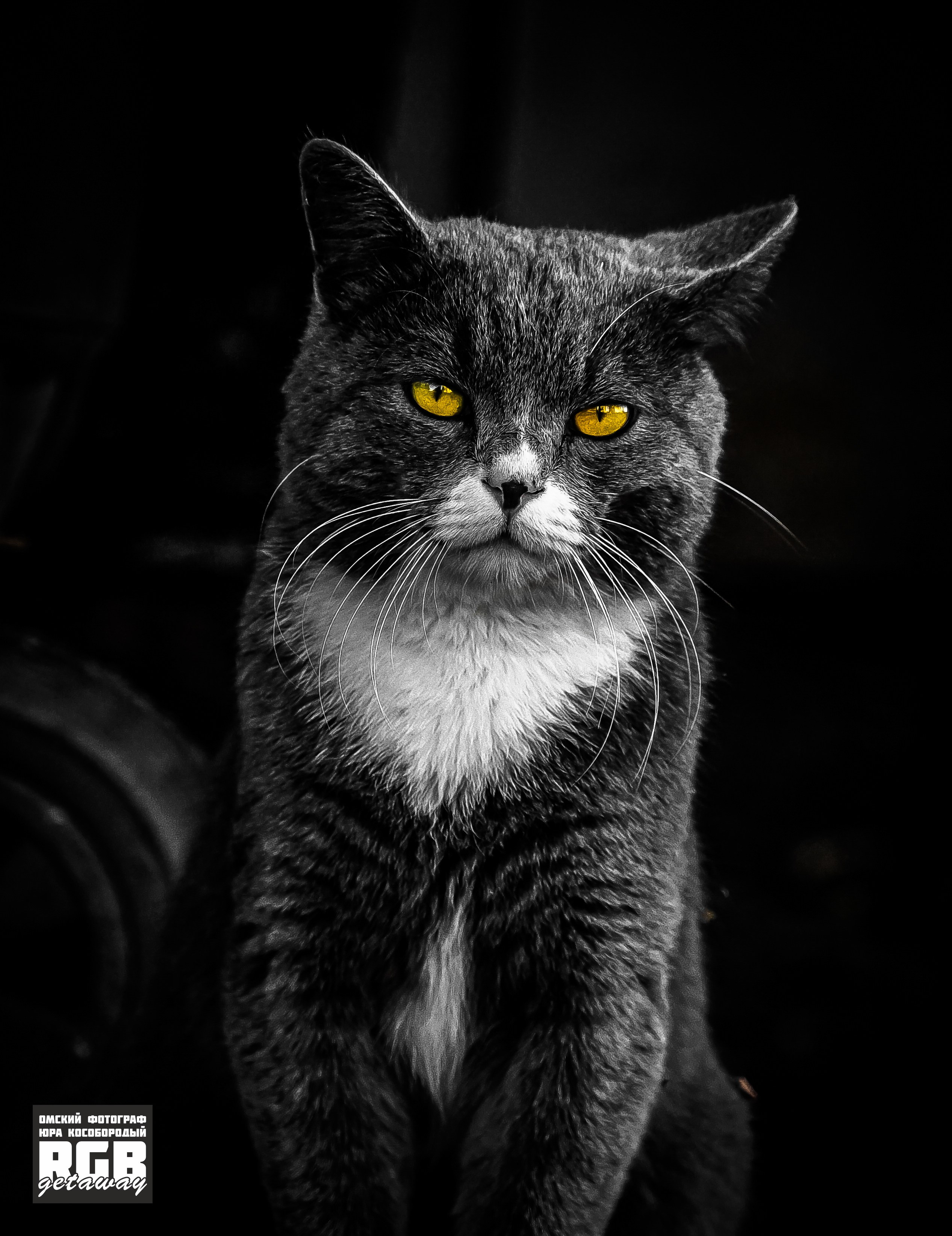 Портрет Омска | ХХ.ХХ.ХХХХ. ФОТОГРАФ ЮРА КОСОБОРОДЫЙ