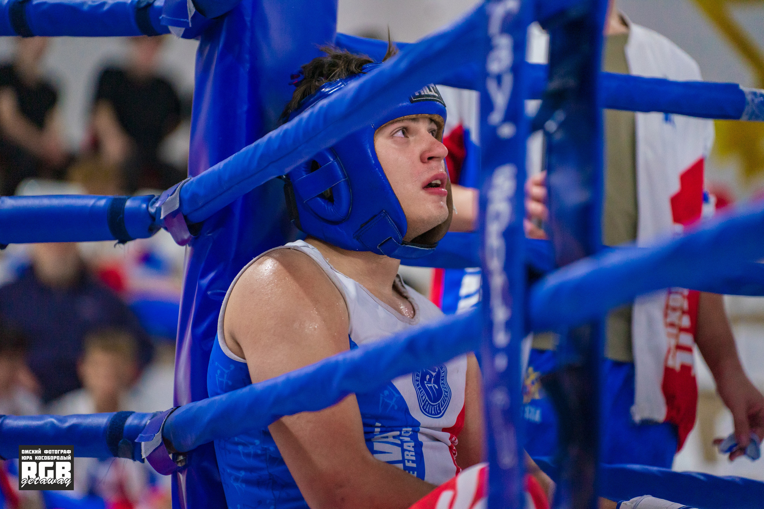 GRAND PRIX Russia de SAVATE | 09-11.10.2026. ФОТОГРАФ ЮРА КОСОБОРОДЫЙ