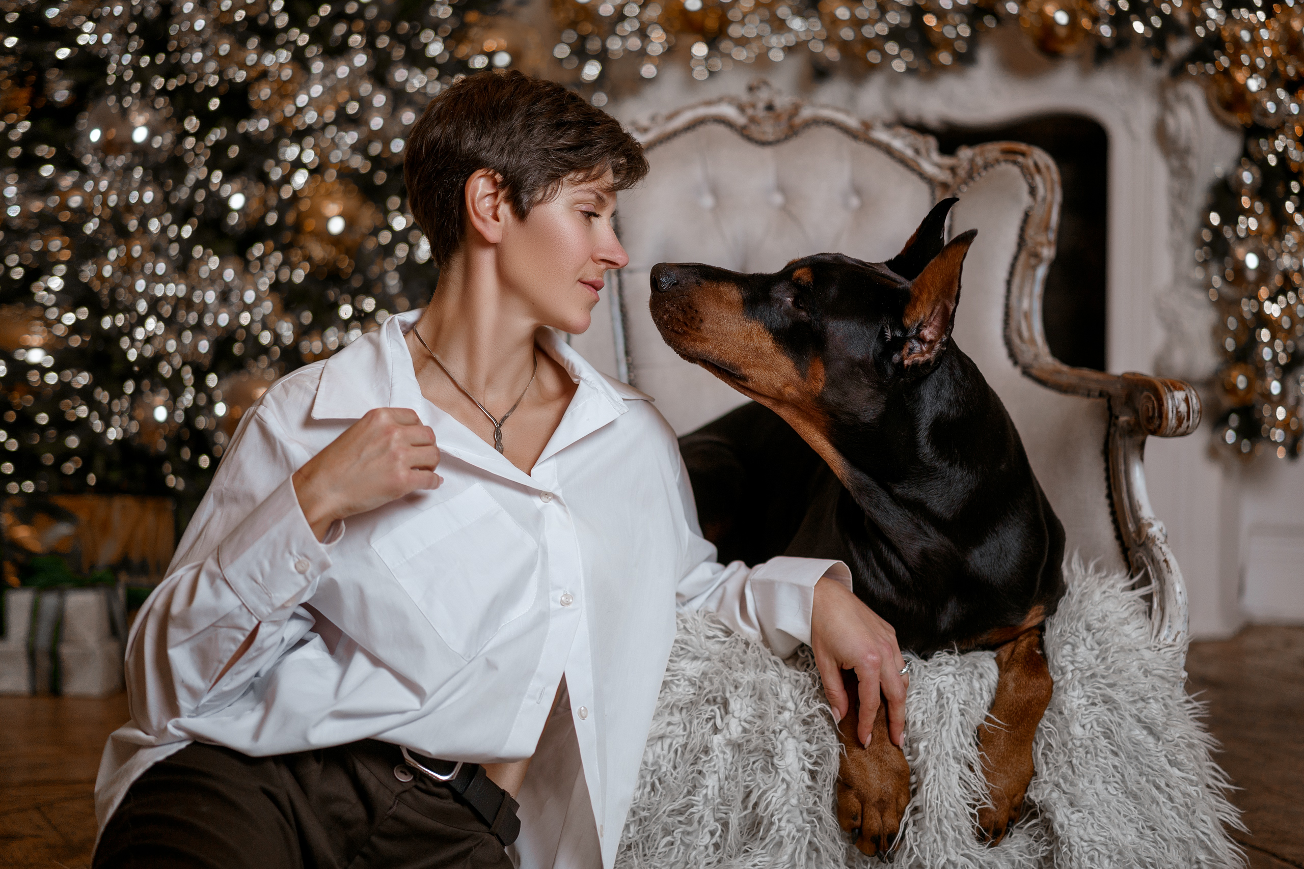 Фотосессии с вашими любимцами. Фотограф Артемьева Катерина|фотосессии с лошадьми