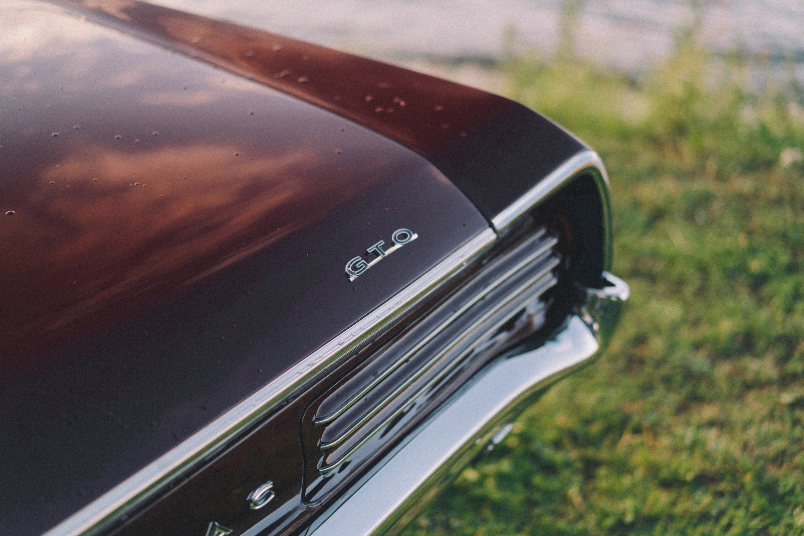 Pontiac GTO. Автомобильный фотограф Антон Цырулев