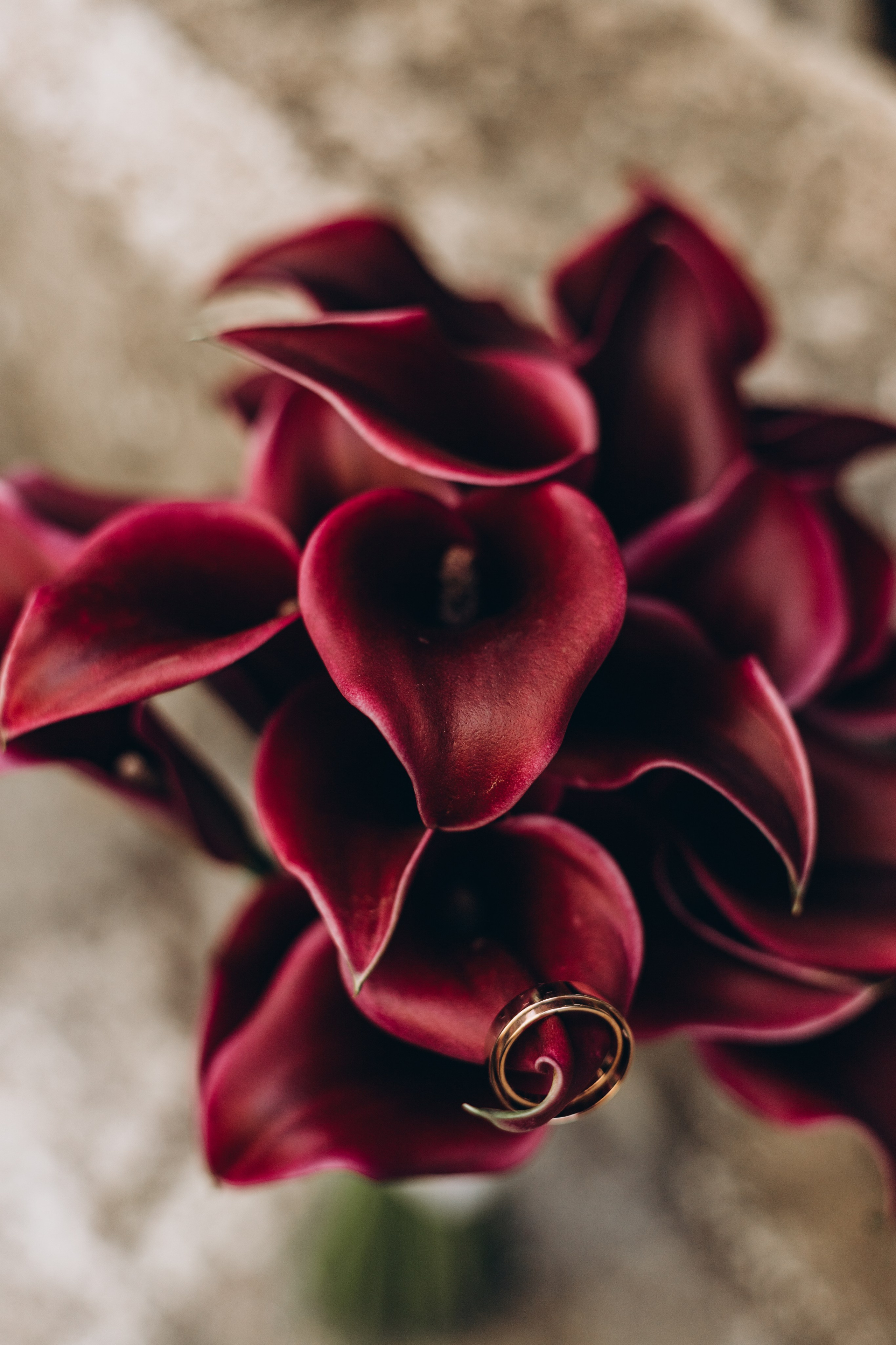 Про нас. Свадебный и семейный фотограф Краснова Юлия