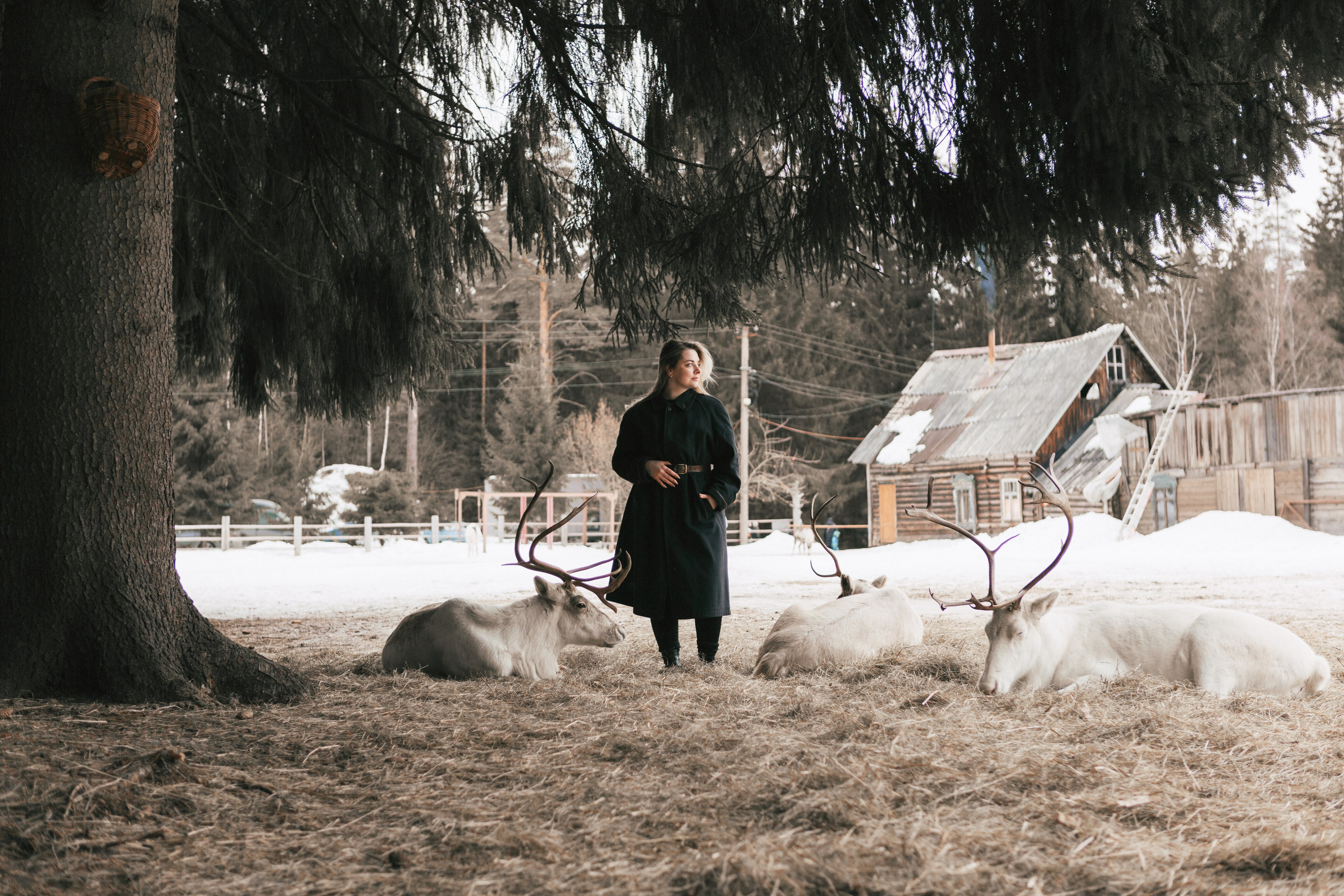 Вероника. Свадебный и семейный фотограф Анастасия Багрец