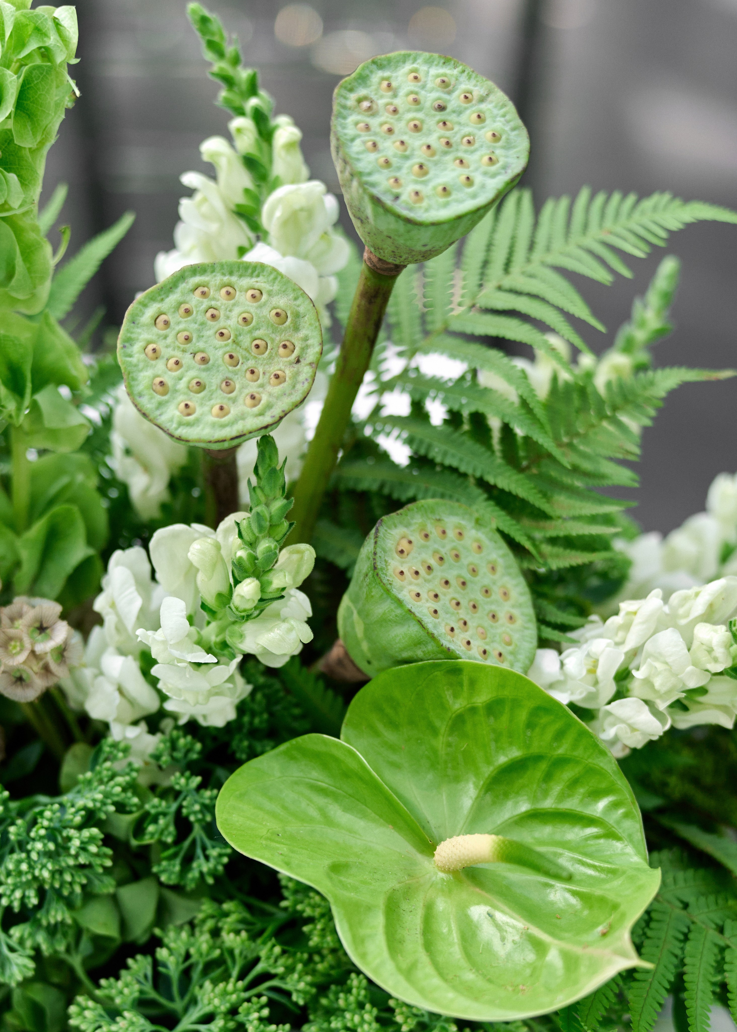 Максим & Елена. Оформление свадеб, декор свадеб Вера Маркова, Москва