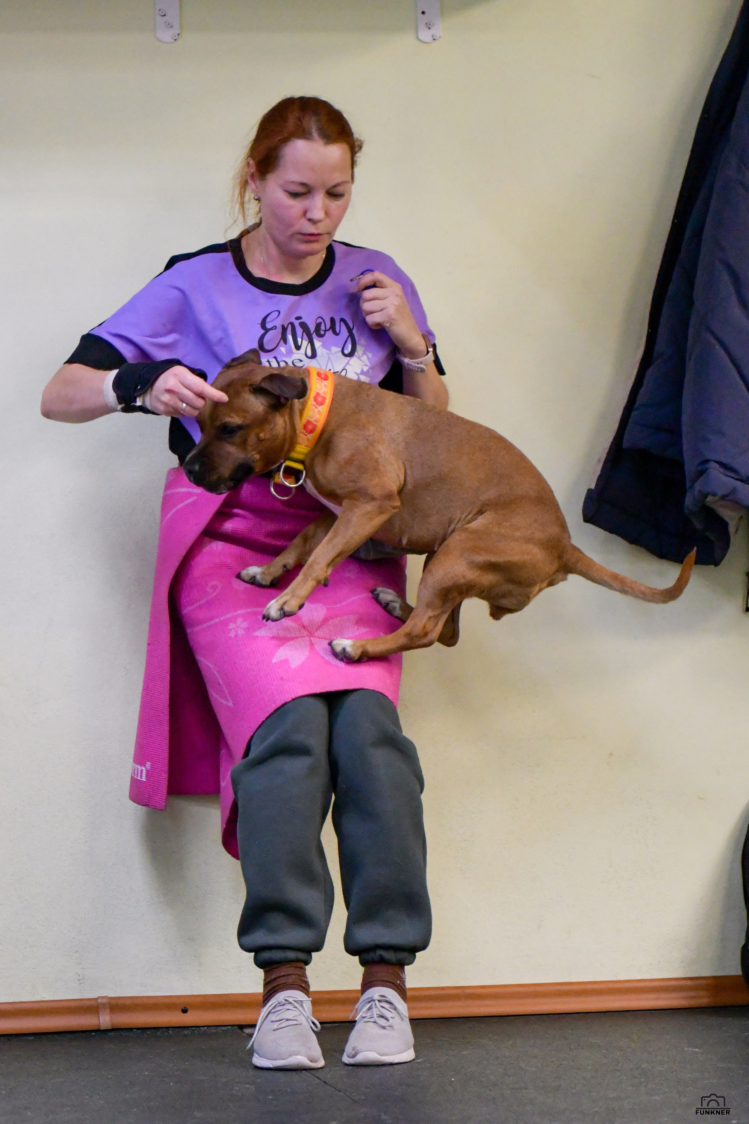 Кинологический клуб «Бодрый хвост». Свой взгляд через объектив