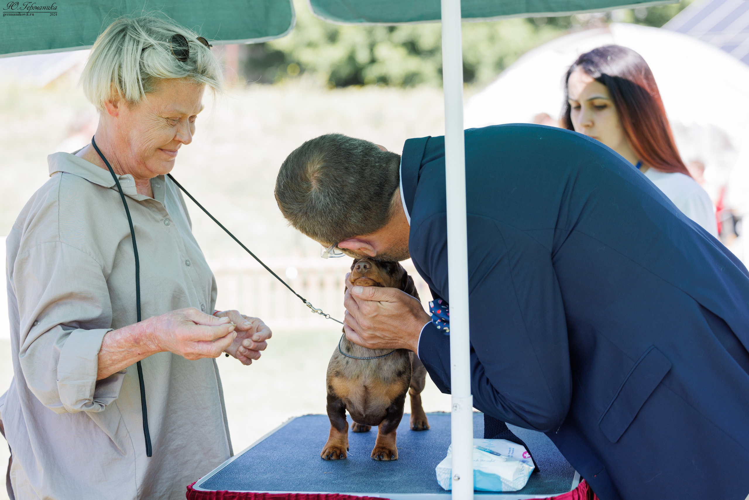 Ереван 3-5.06.2024. Фотограф-анималист Юлия Германика