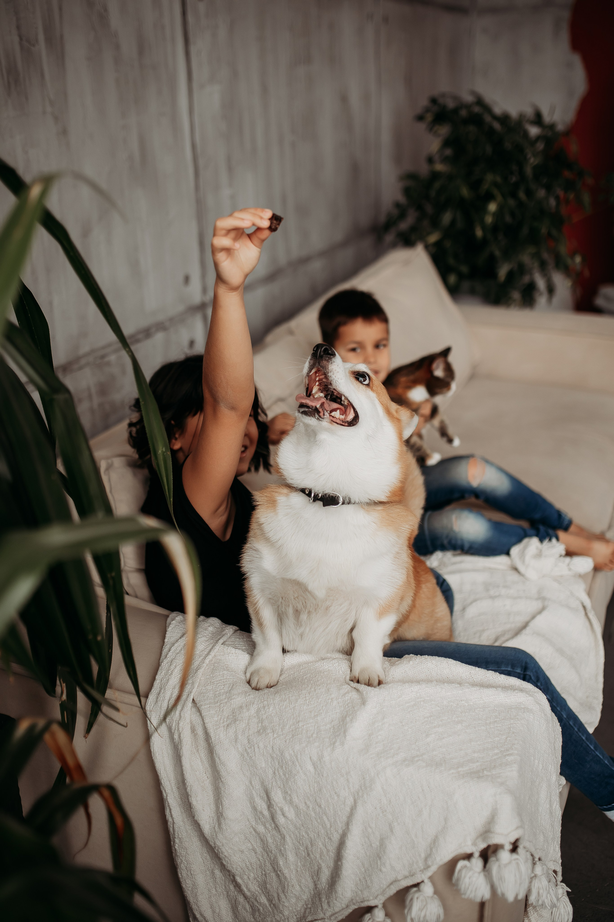 Семейная. Фотограф Тимербаева Алина г. Сургут