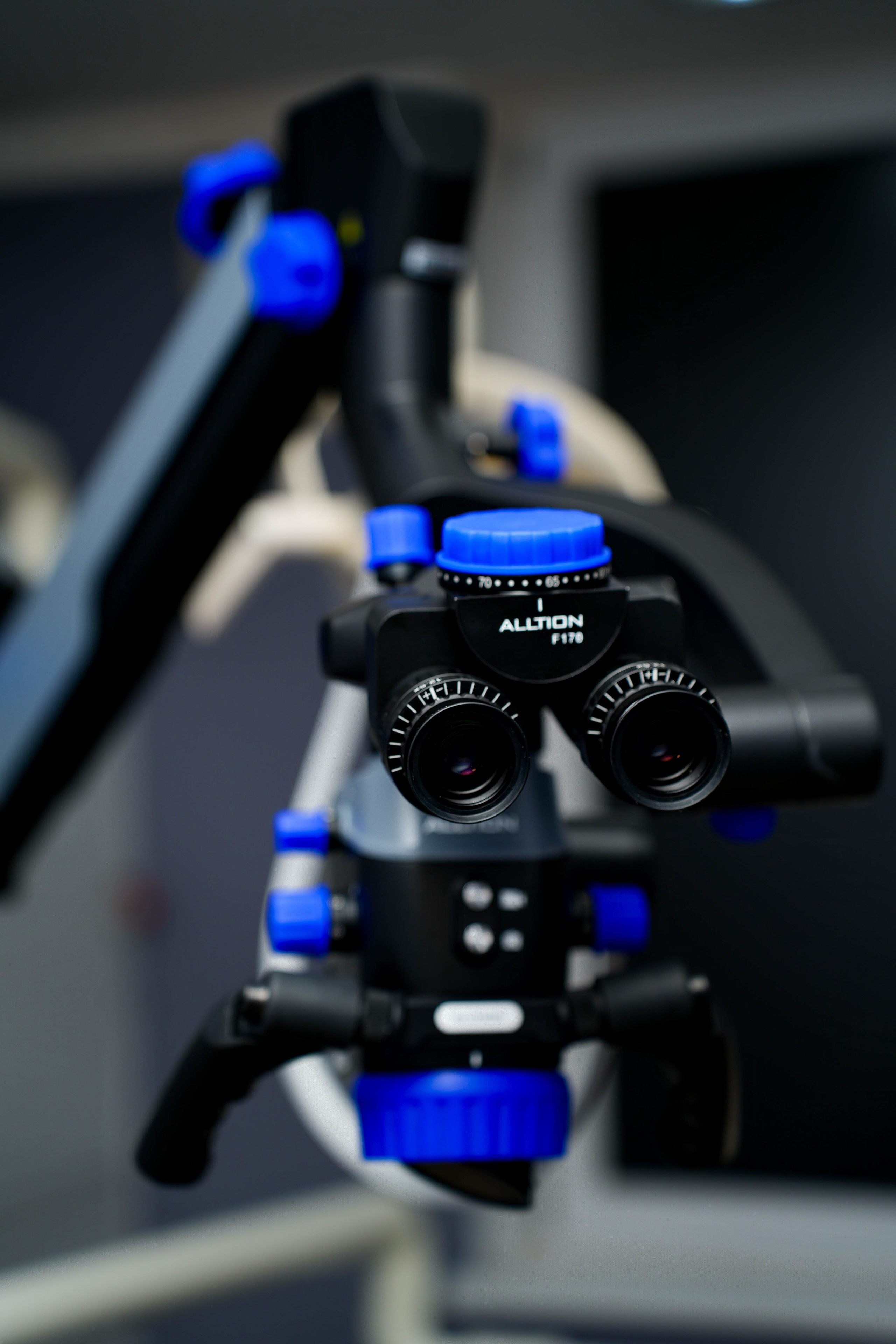 Vivastom. Фотограф Элина Задорожная