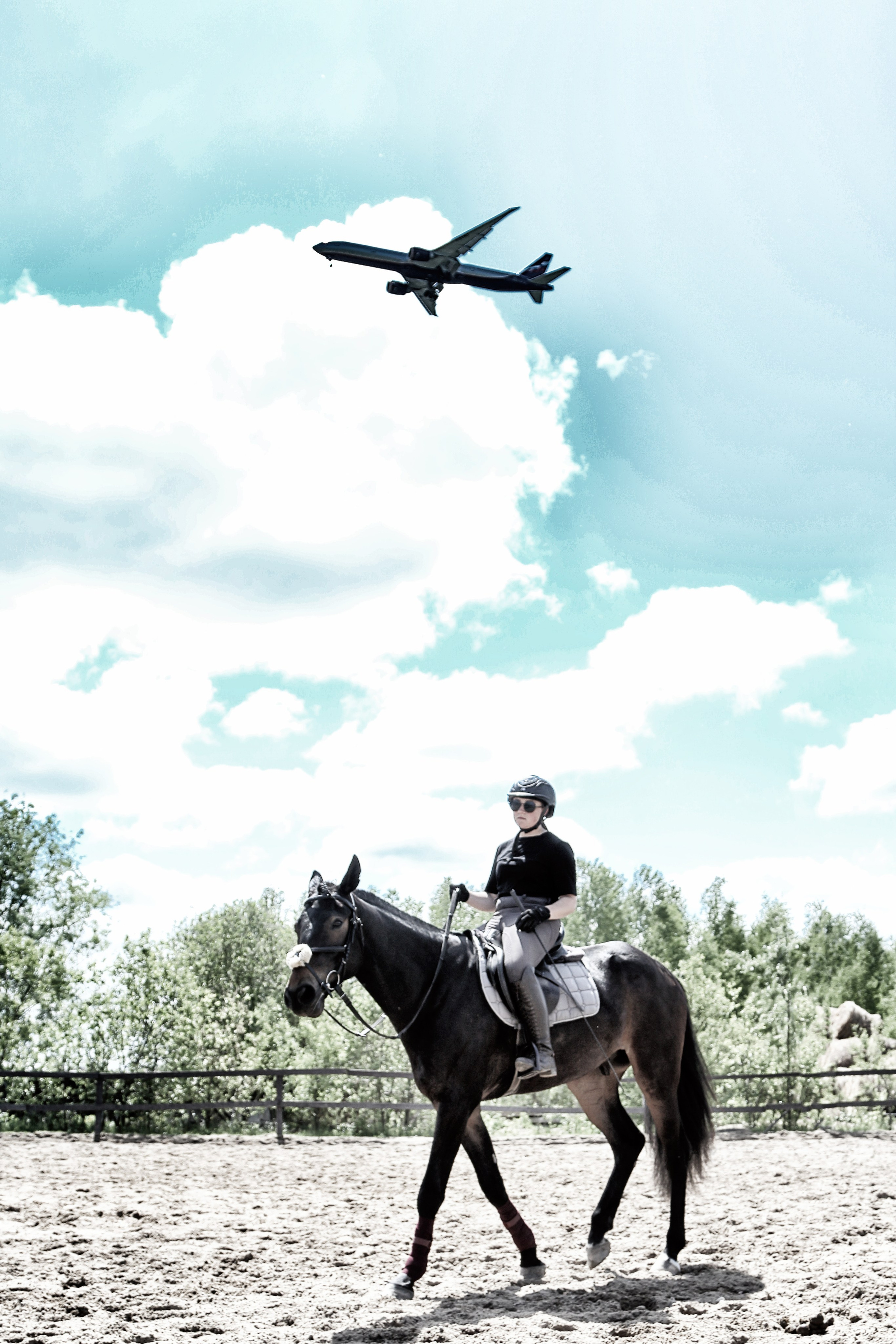 Лошади «Каскад» и «Брилиант». Алиса Томшина — Фотограф / Видеограф