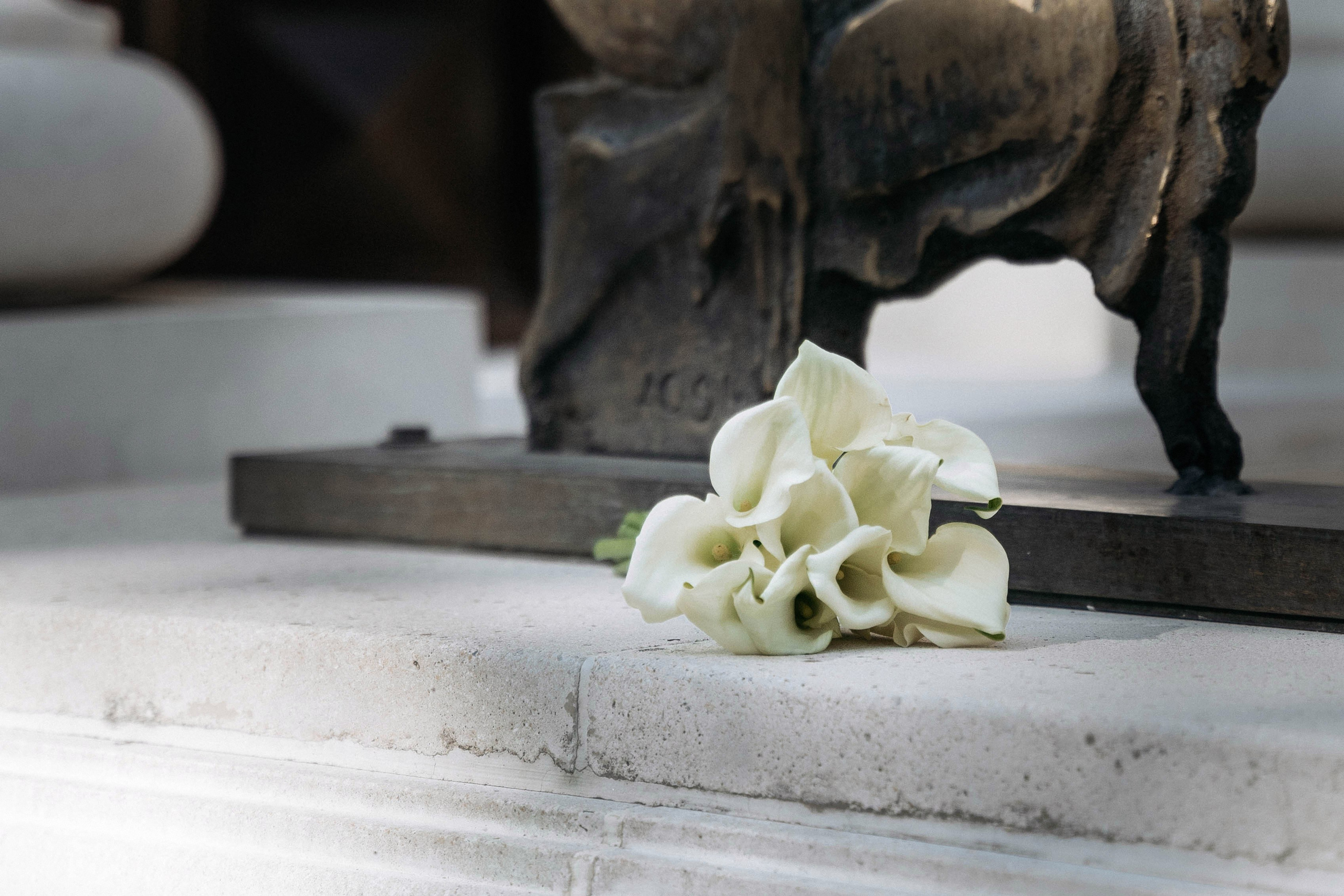 Владислав и Елизавета. Татьяна Тагель