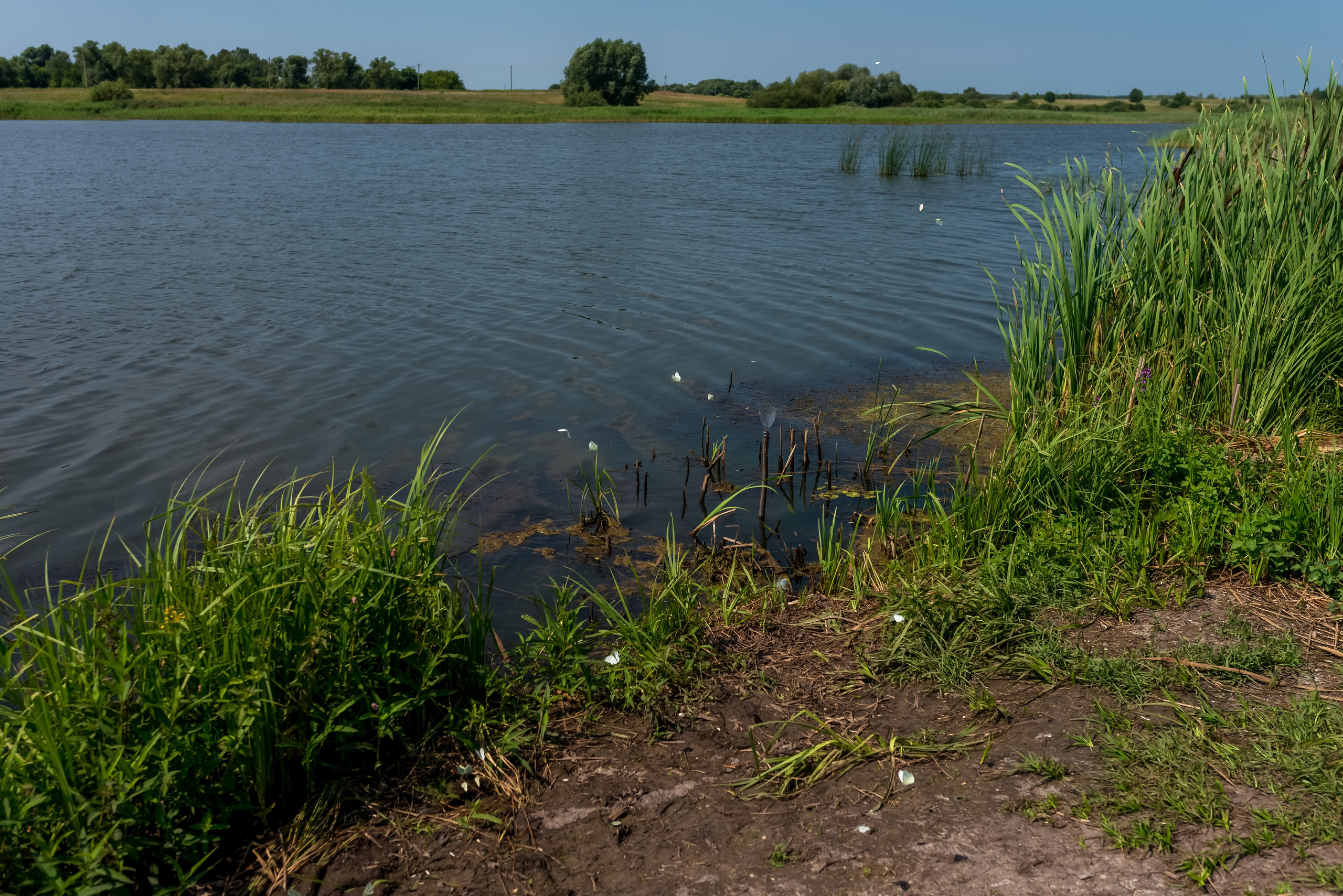 Деревня Барышье. Женский фотограф Крещение Венчание Москва Брянск