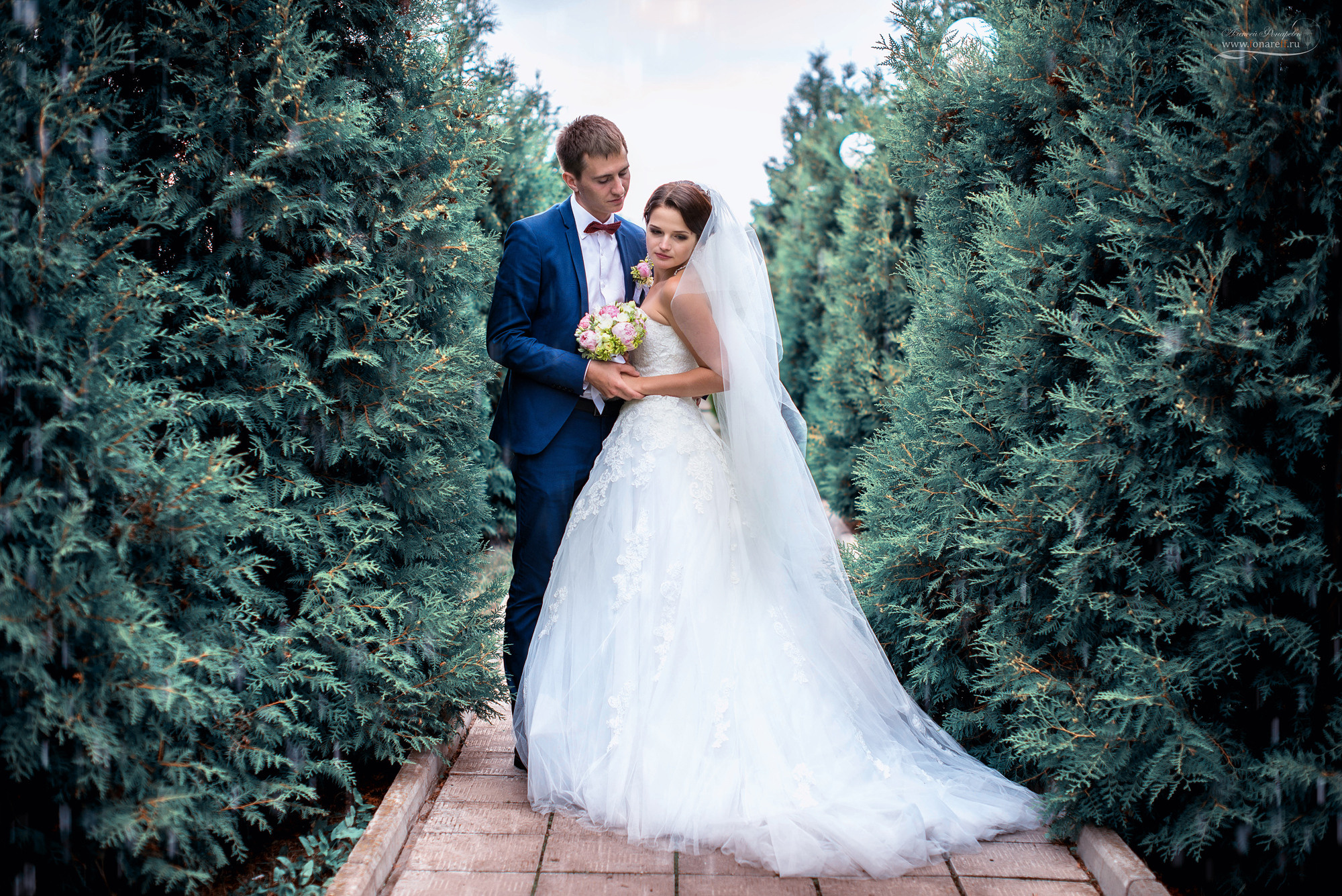 Свадебный фотограф не дорого. Свадебный фотограф в Дубне Алексей Фонарёв