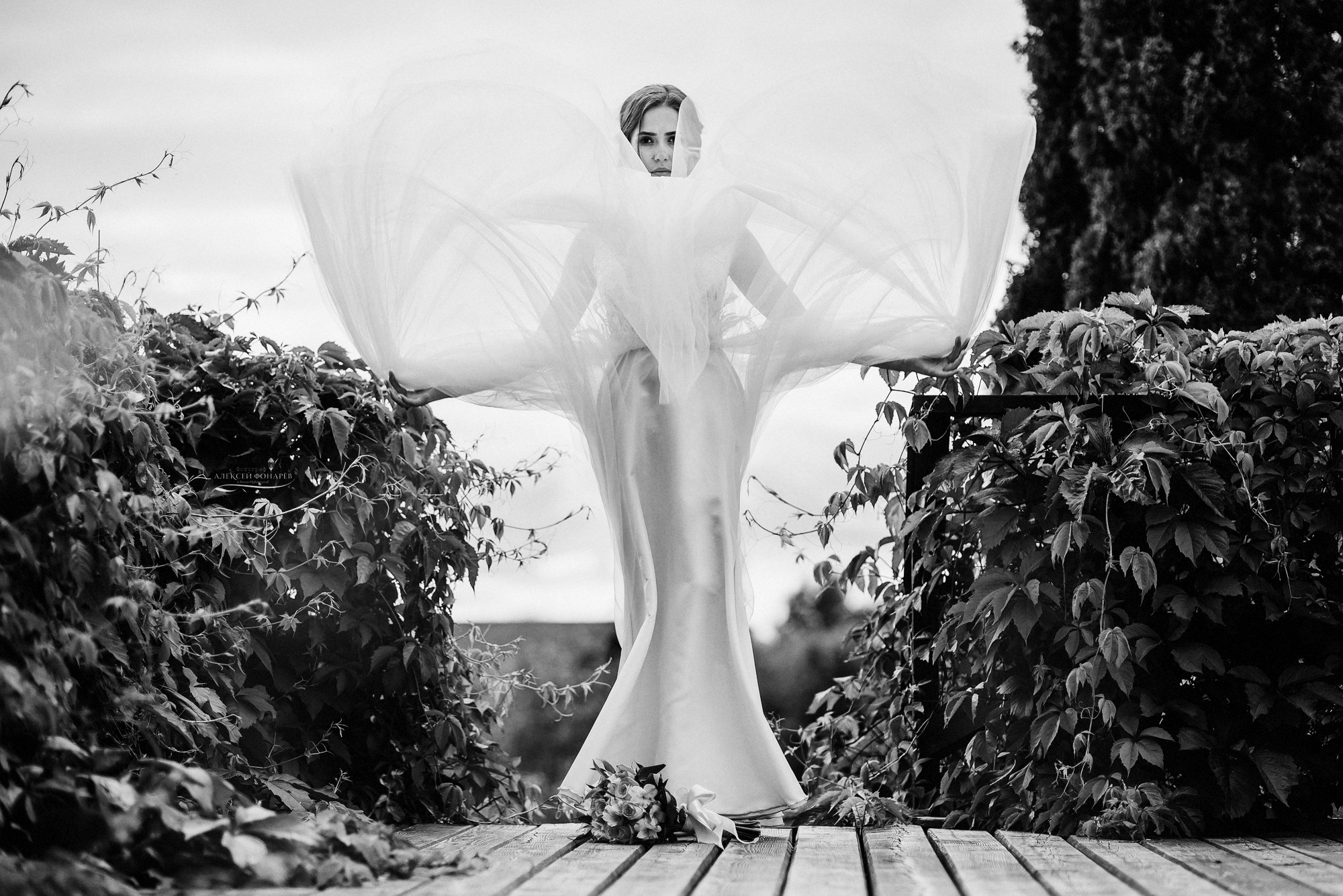 Свадебный фотограф не дорого. Свадебный фотограф в Дубне Алексей Фонарёв