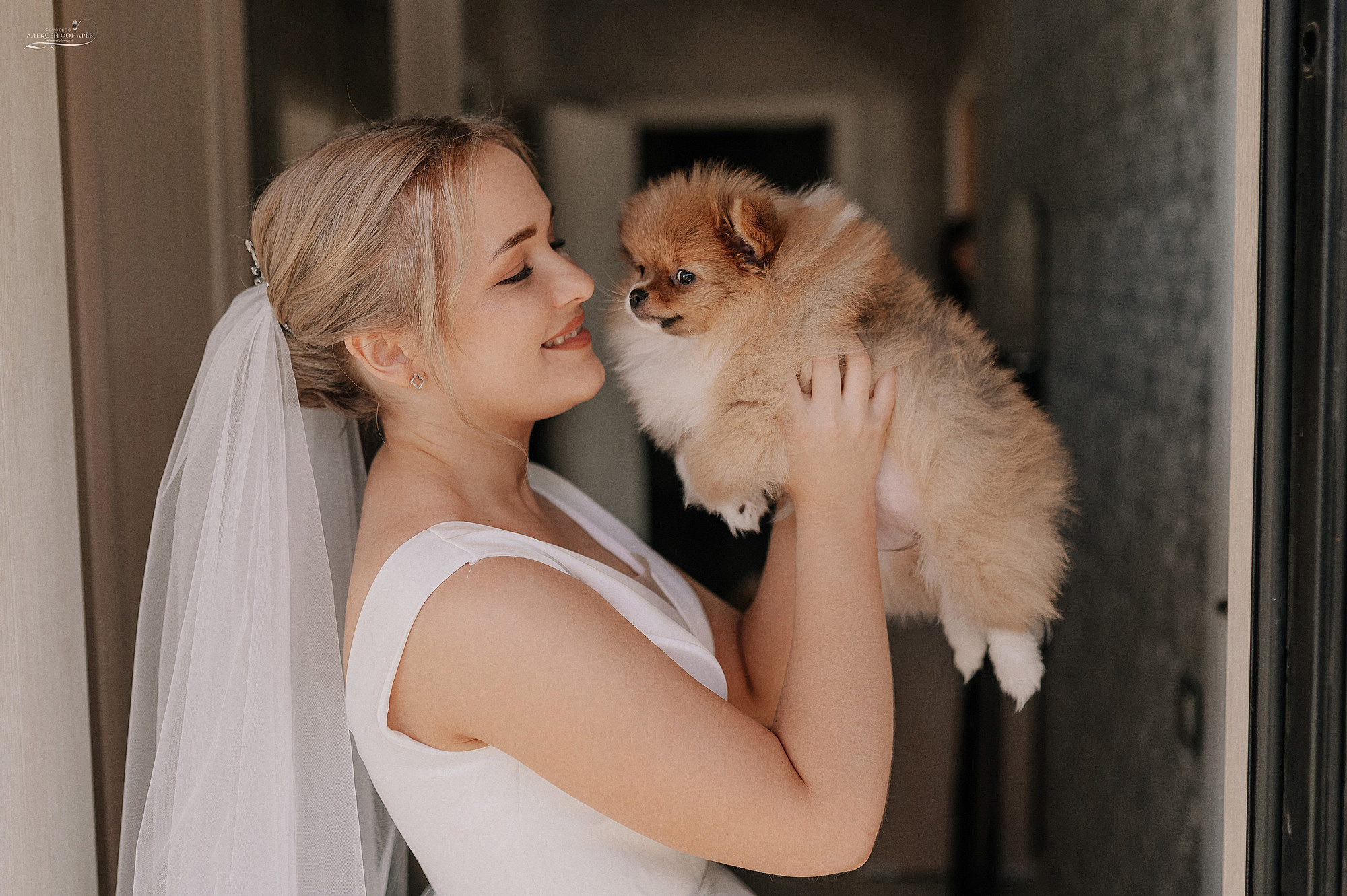 милый щеночек на руках невесты
