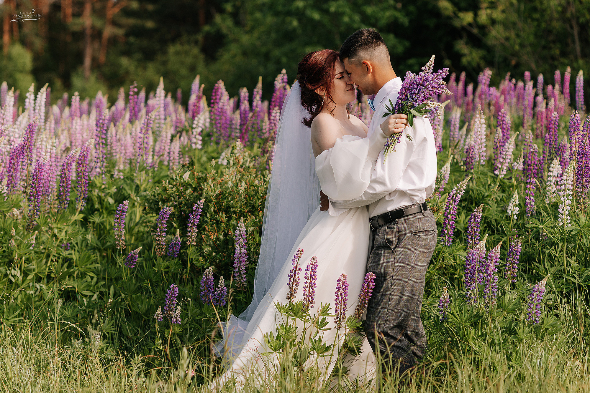Свадебный фотограф не дорого. Свадебный фотограф в Дубне Алексей Фонарёв
