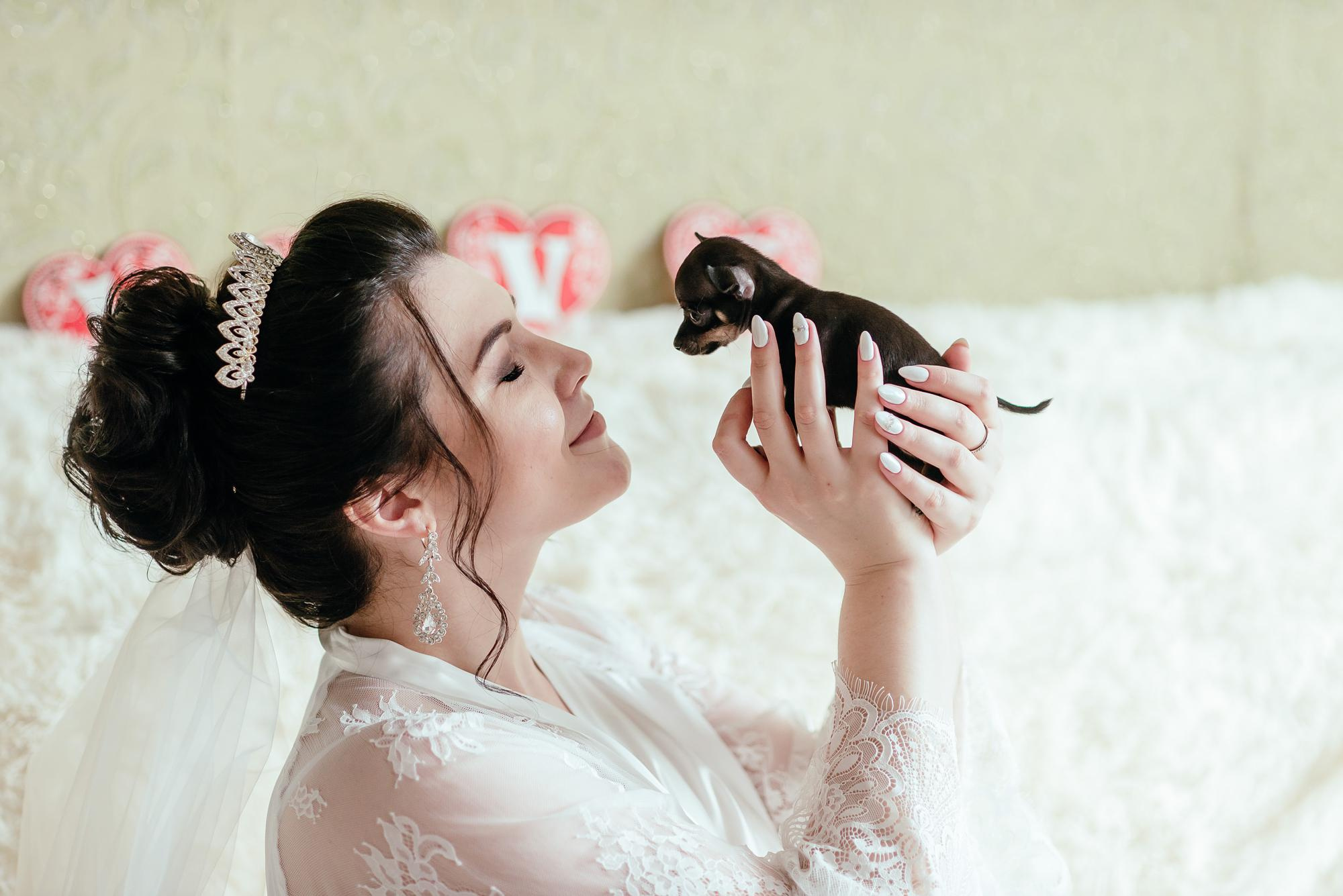 Свадебный фотограф не дорого. Свадебный фотограф в Дубне Алексей Фонарёв