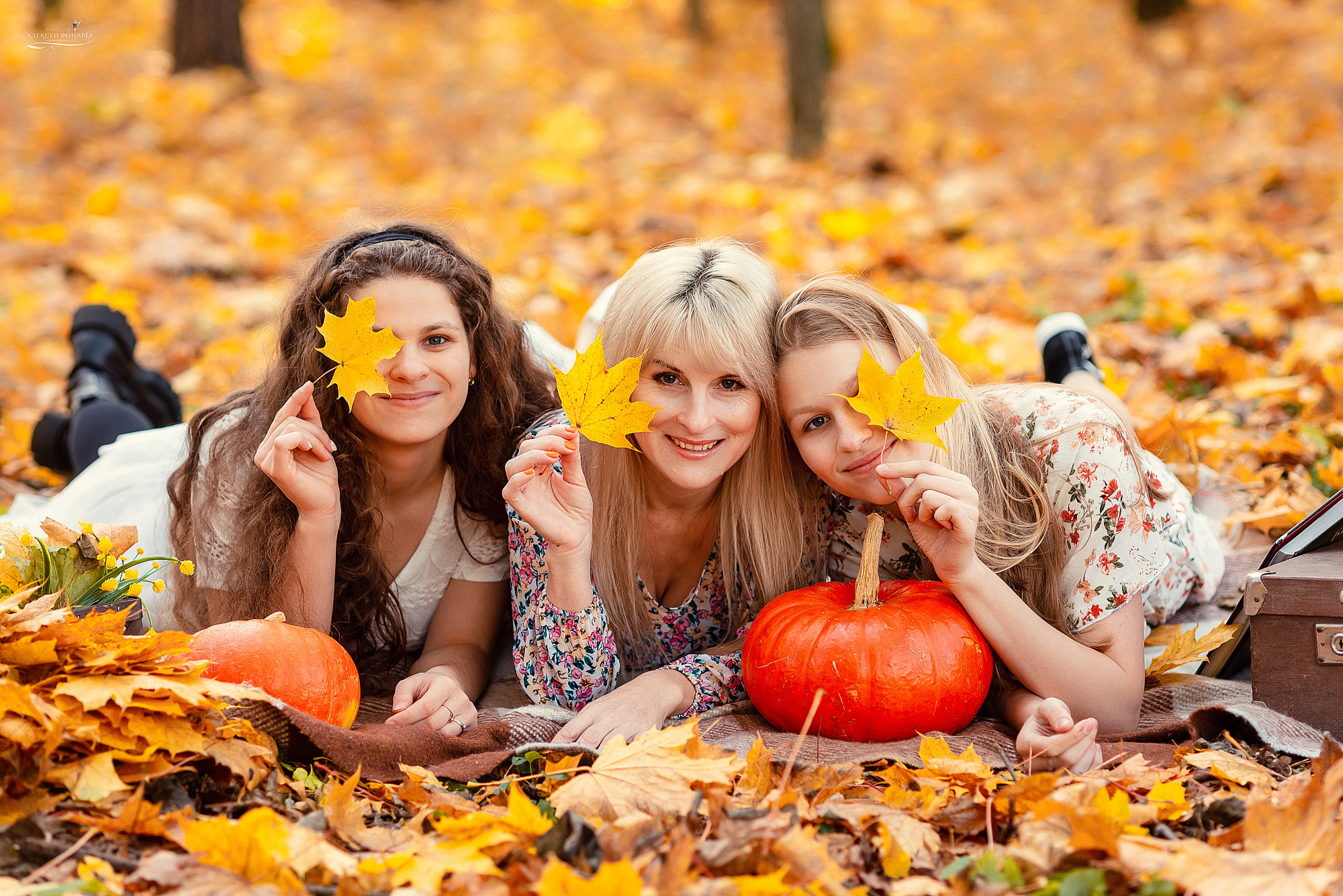 Семейный фотограф Талдом. Свадебный фотограф в Дубне Алексей Фонарёв
