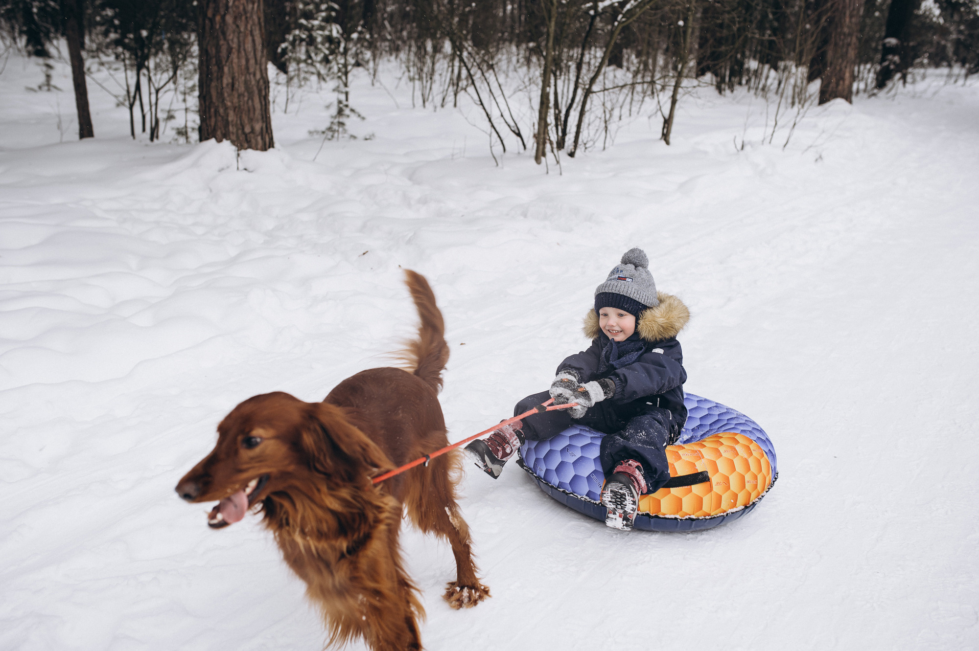 Семейный фотограф Талдом. Свадебный фотограф в Дубне Алексей Фонарёв