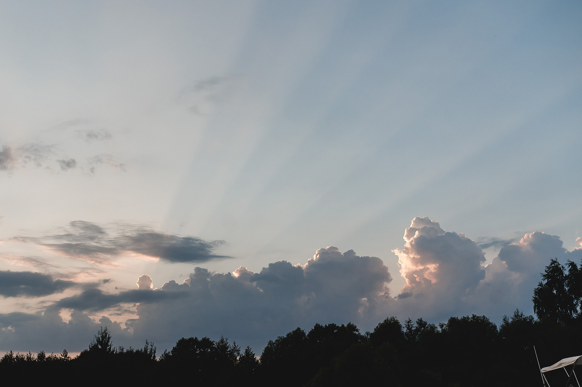 Илья и Алина. Свадебный фотограф в Дубне Алексей Фонарёв