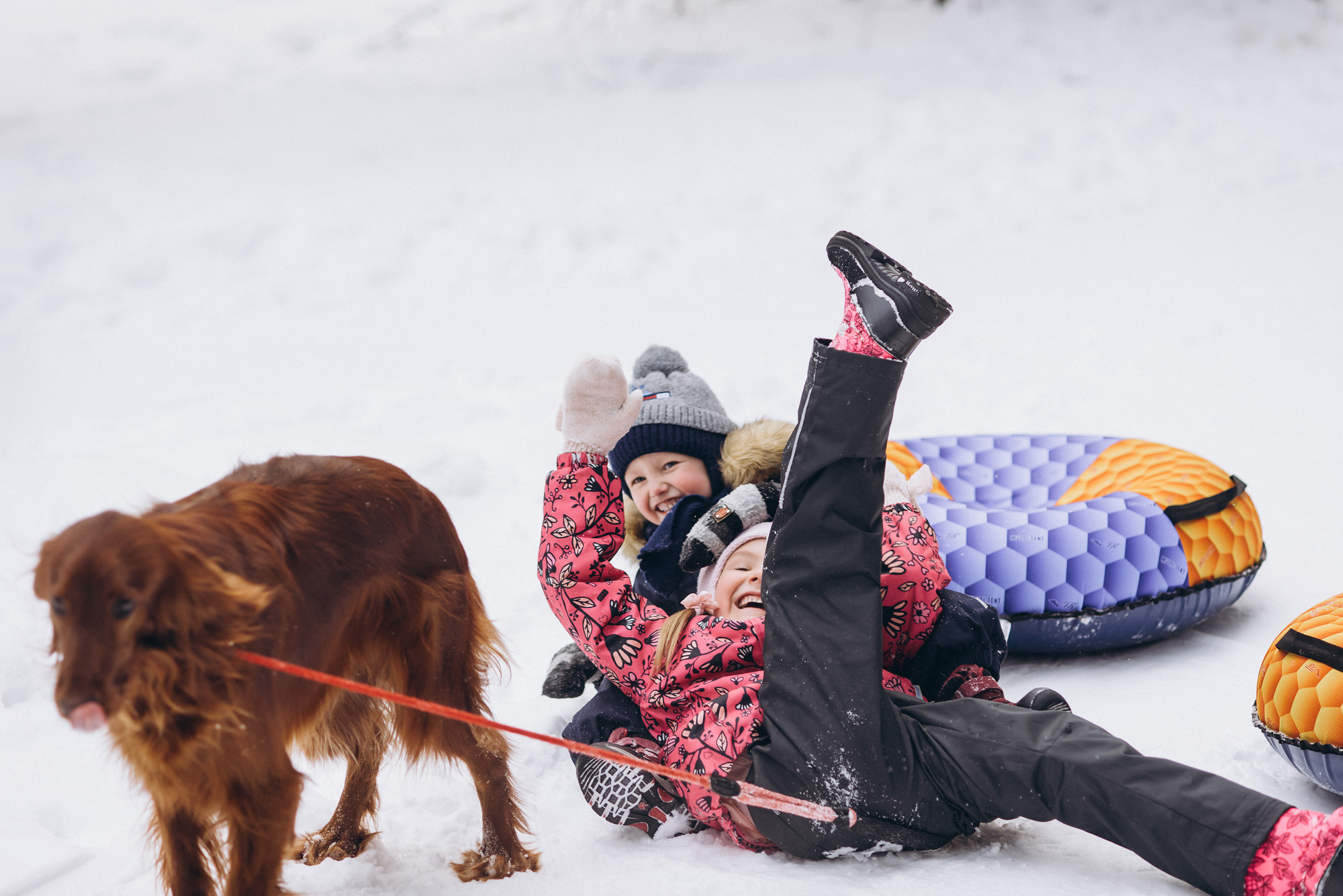 Семейный фотограф Талдом. Свадебный фотограф в Дубне Алексей Фонарёв