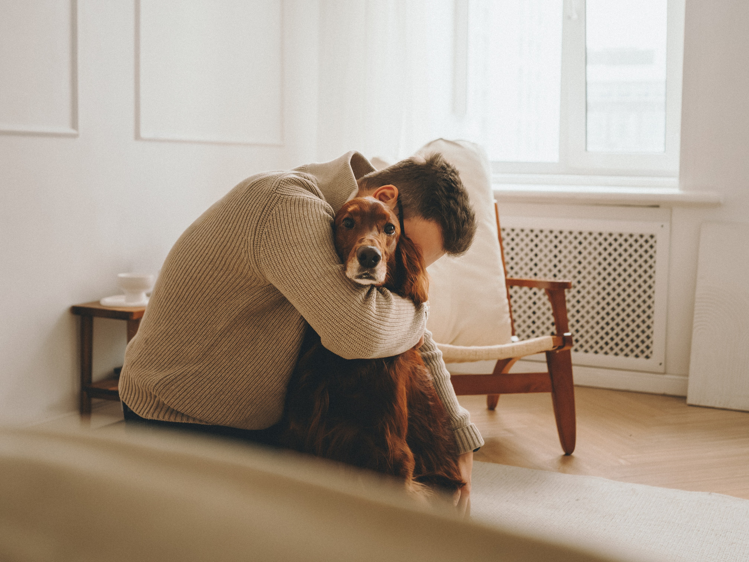 Маша, Илья и Локи. Семейный фотограф анималист Ананьева Мария — Москва