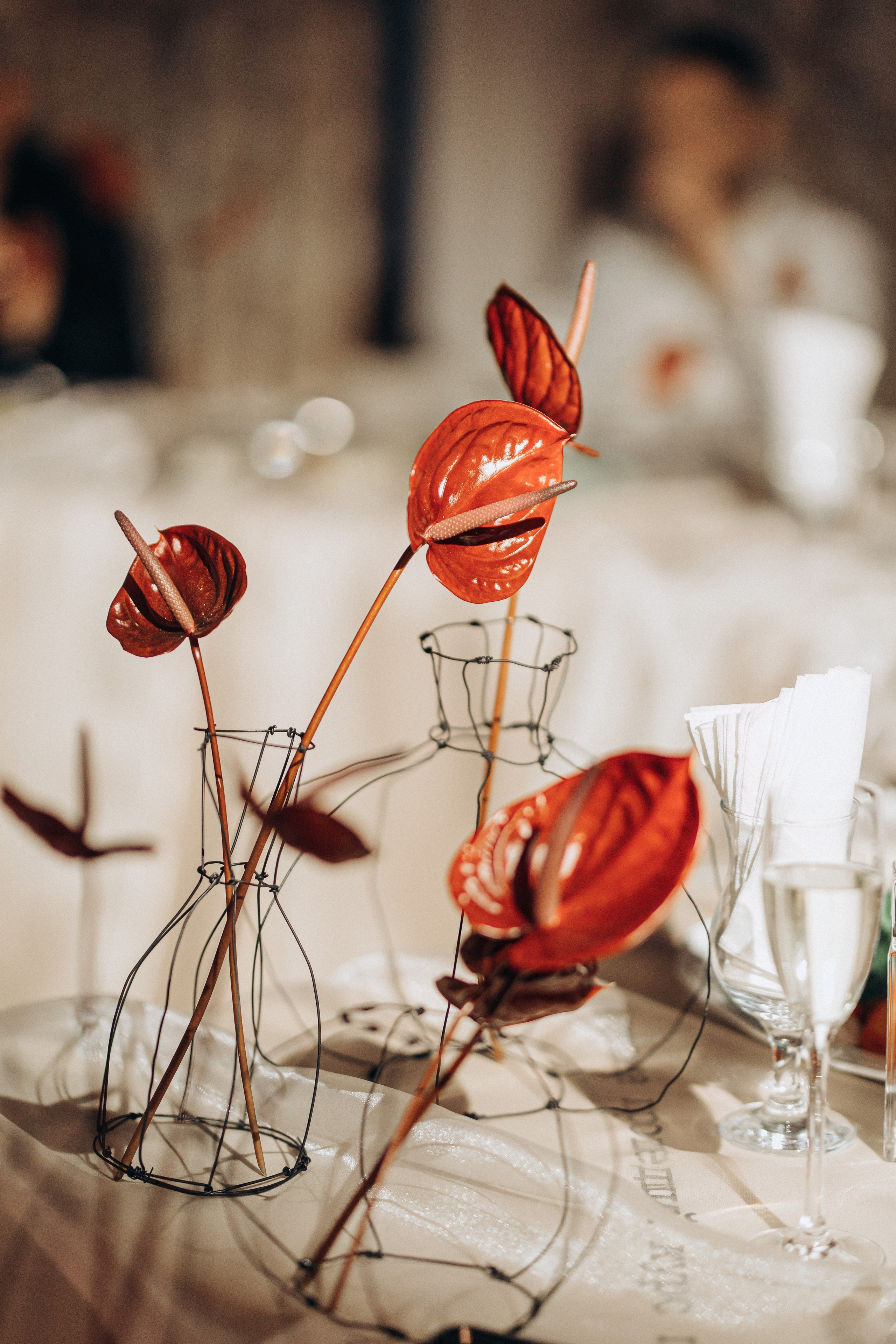 Кира и Дмитрий. Свадебный и портретный фотограф в Калининграде и Москве Марк Юдинцев