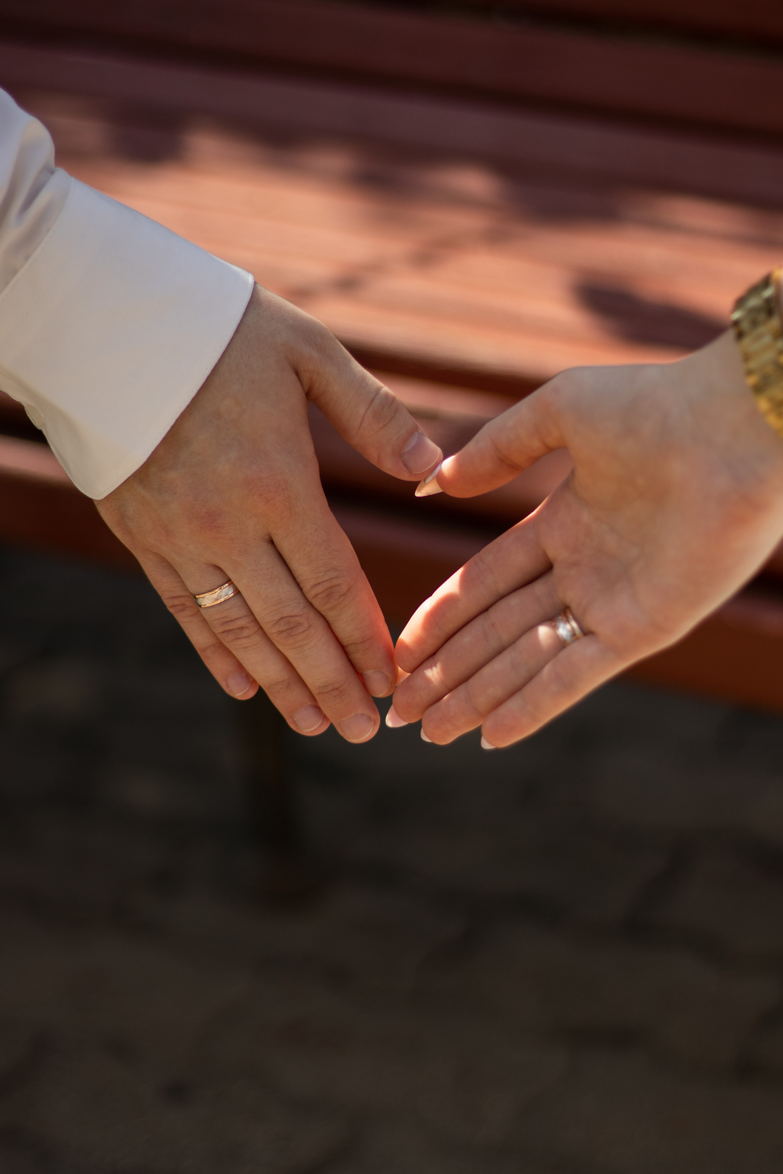 Михаил и Софья. Дарья Рубаник | Фотограф