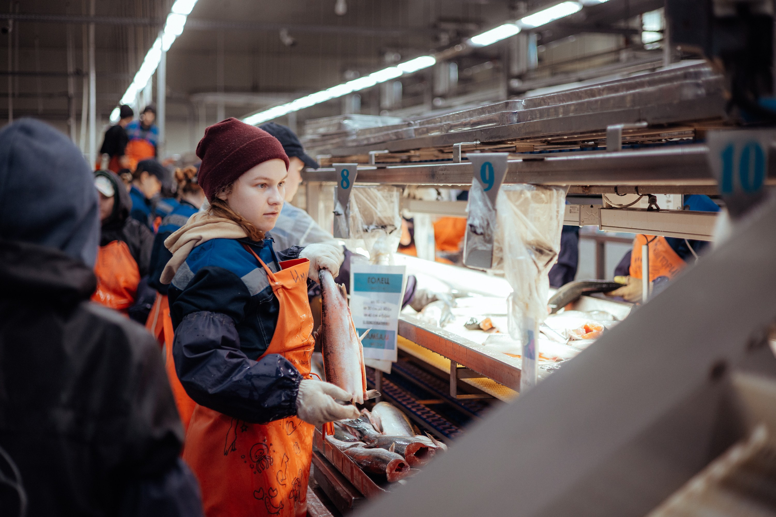 Ооо «лойд-фиш» | камчатка-2025