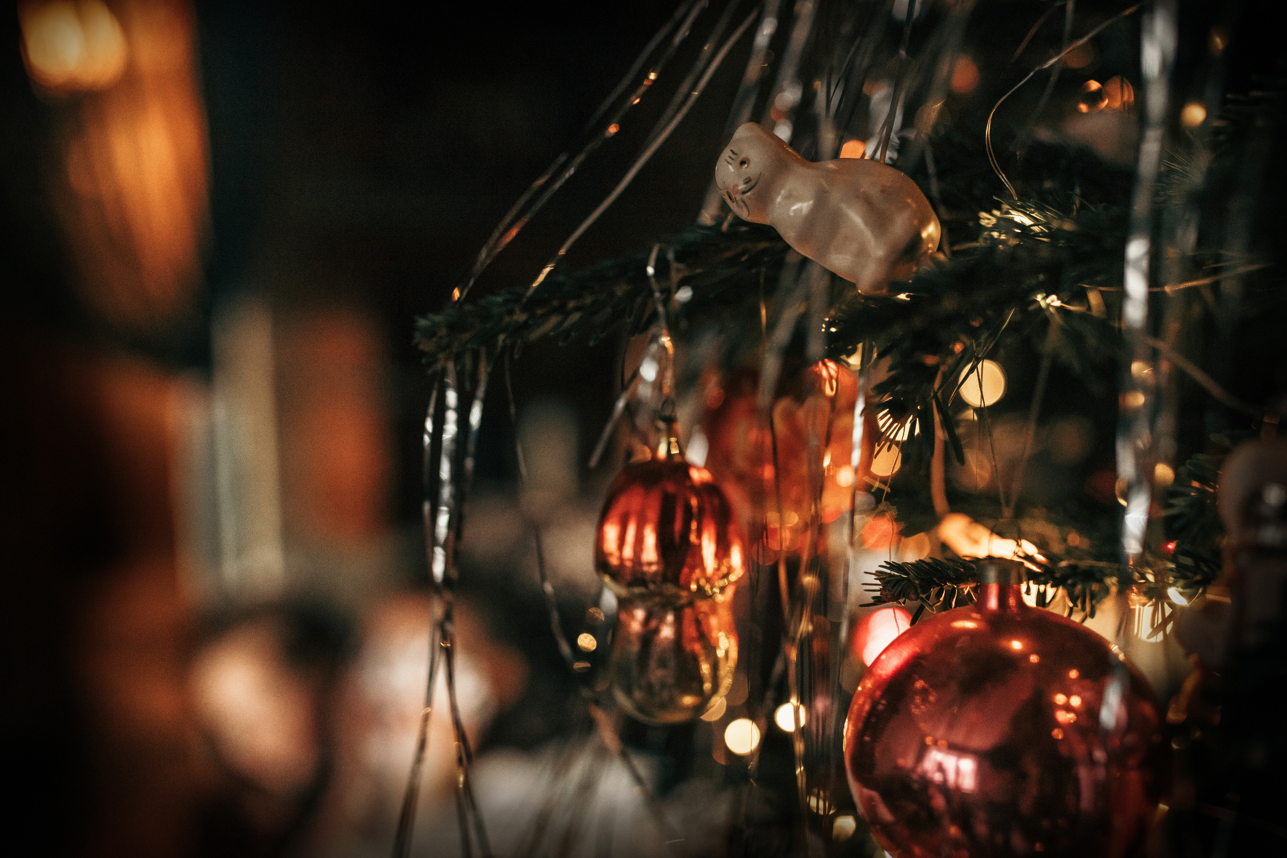 Домашний новый год. Гипнопсихолог, женский фотограф Ольга Парфентьева (Васанти)