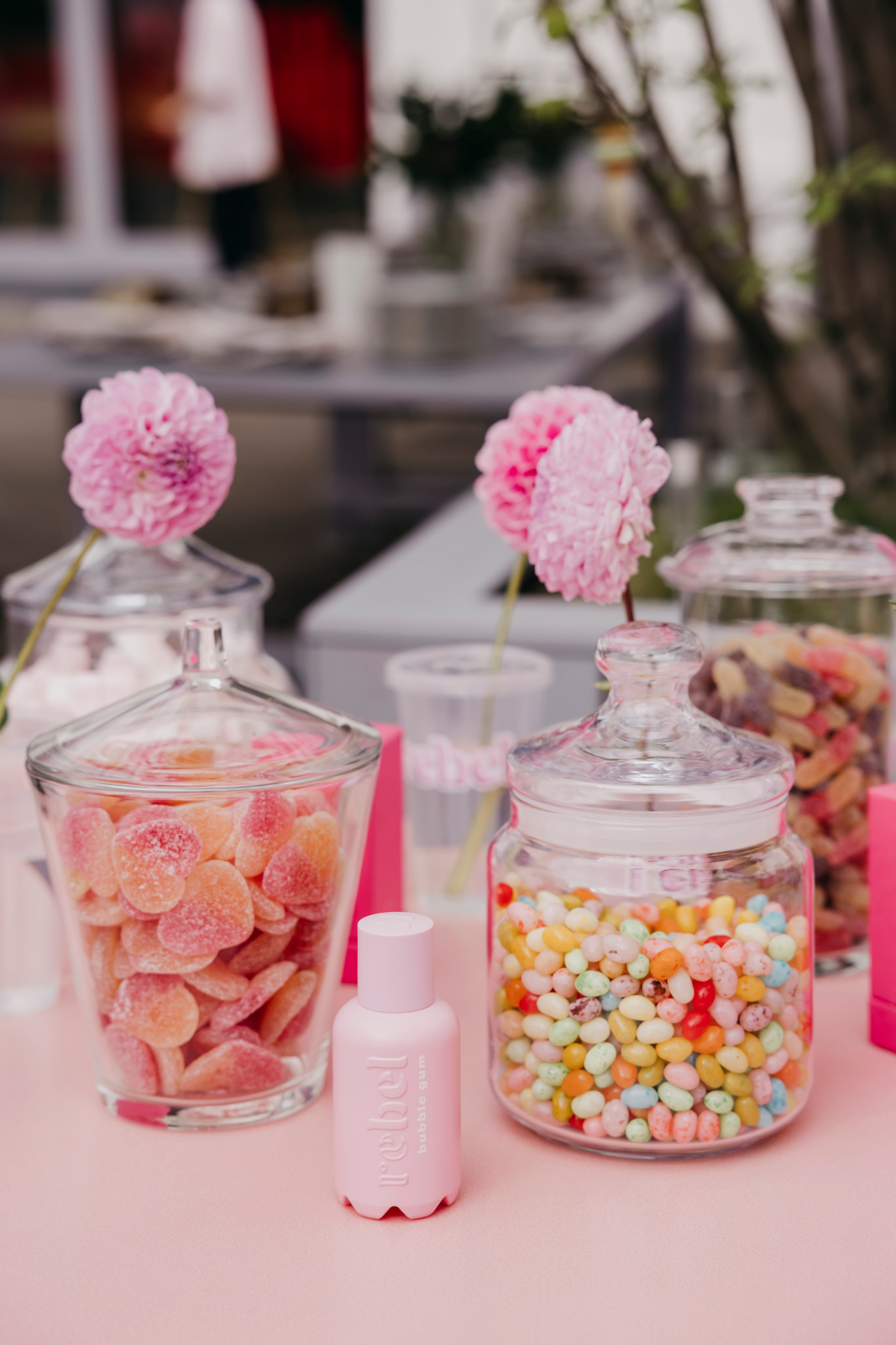 «Rebel» by «Molecule». «Птичка на проводе»: информационный портал в Москве